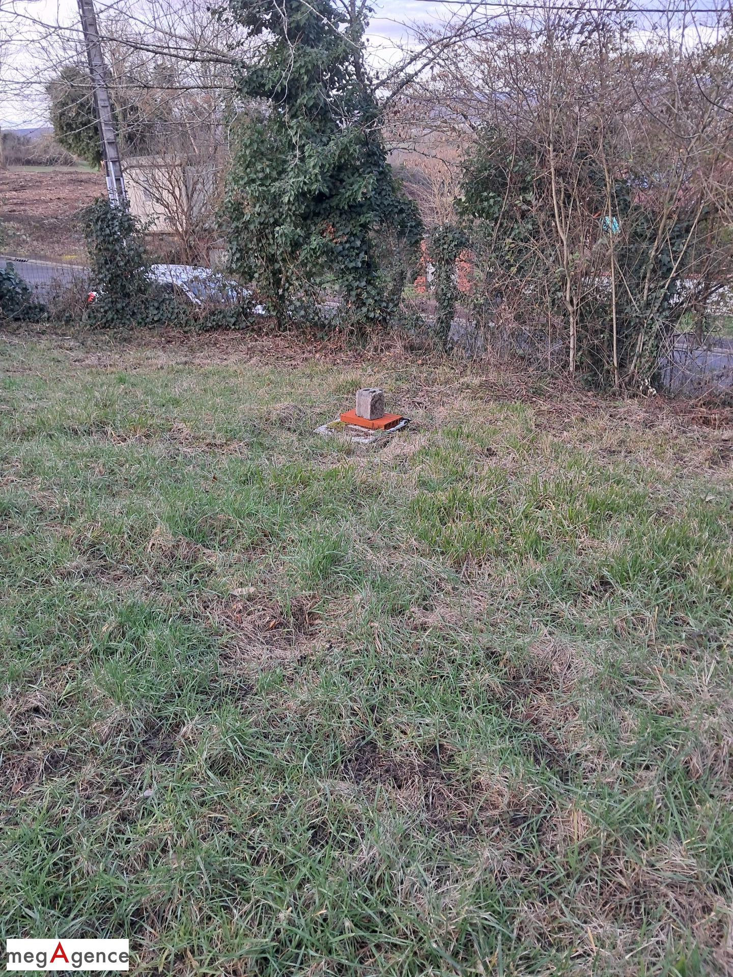 Miniature photo - 4 / 4