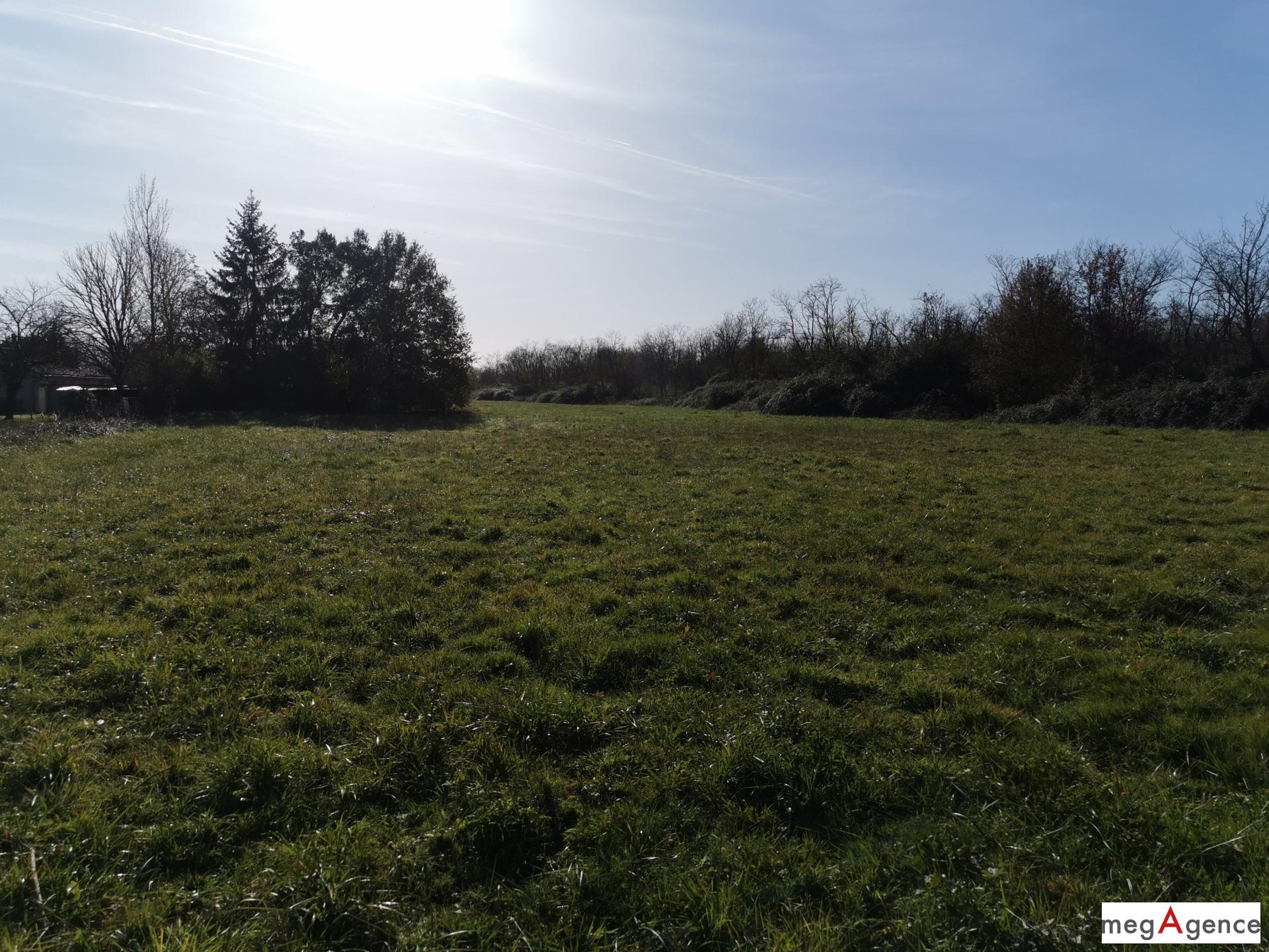 Miniature photo - 20 / 20