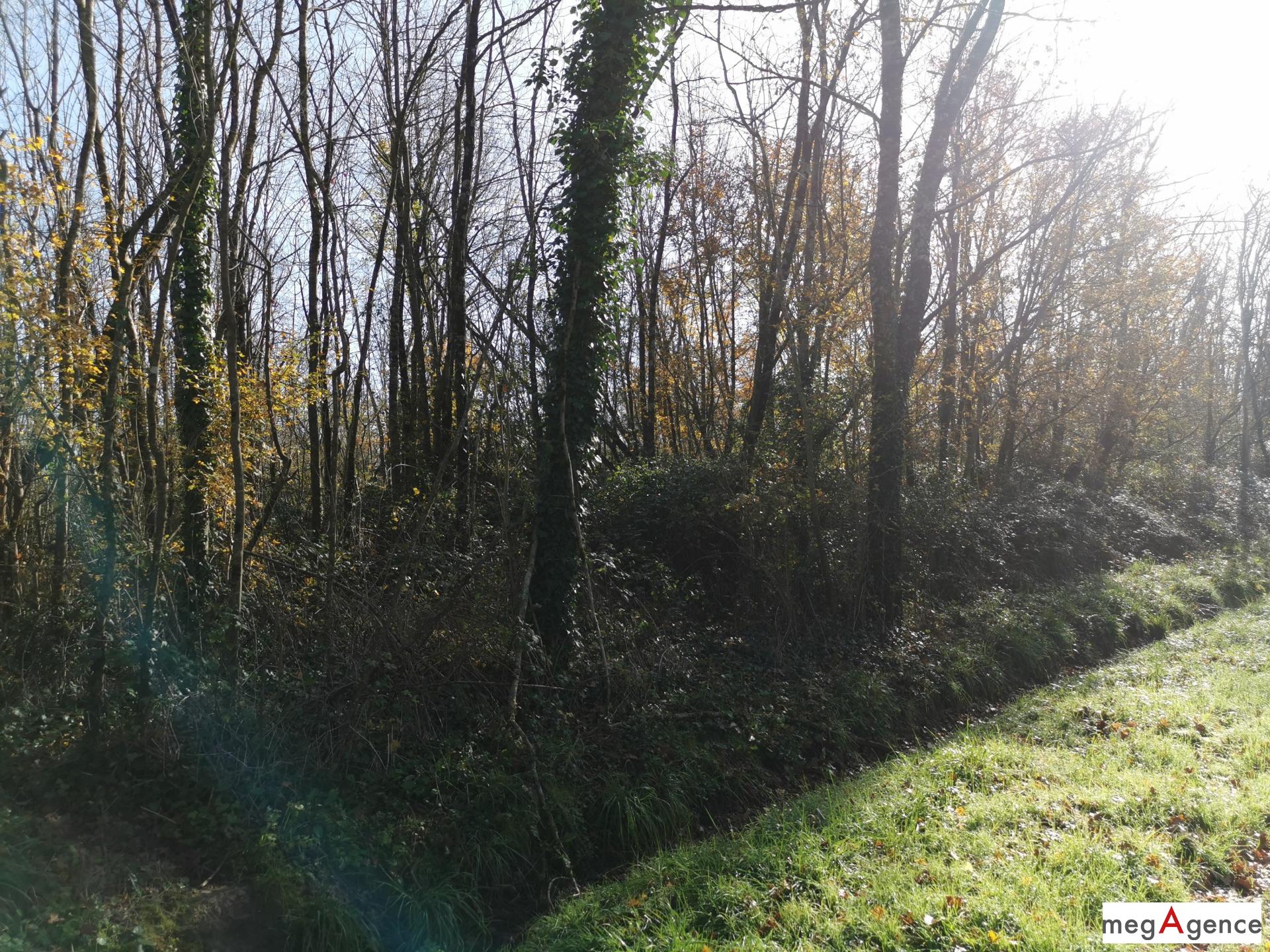 Miniature photo - 17 / 20