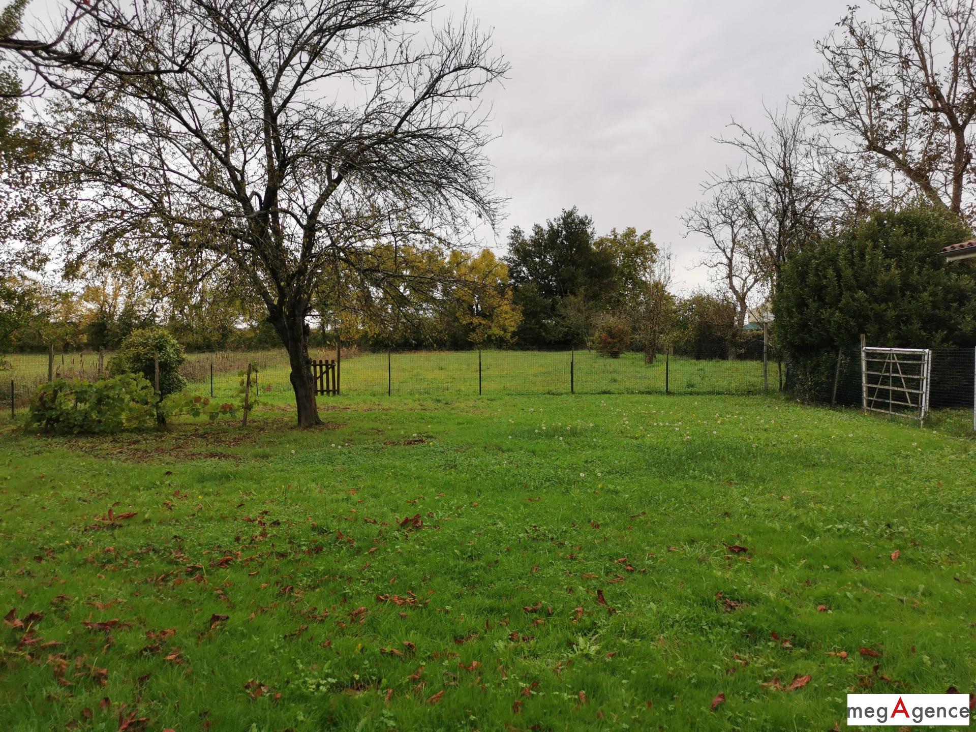 Miniature photo - 18 / 20