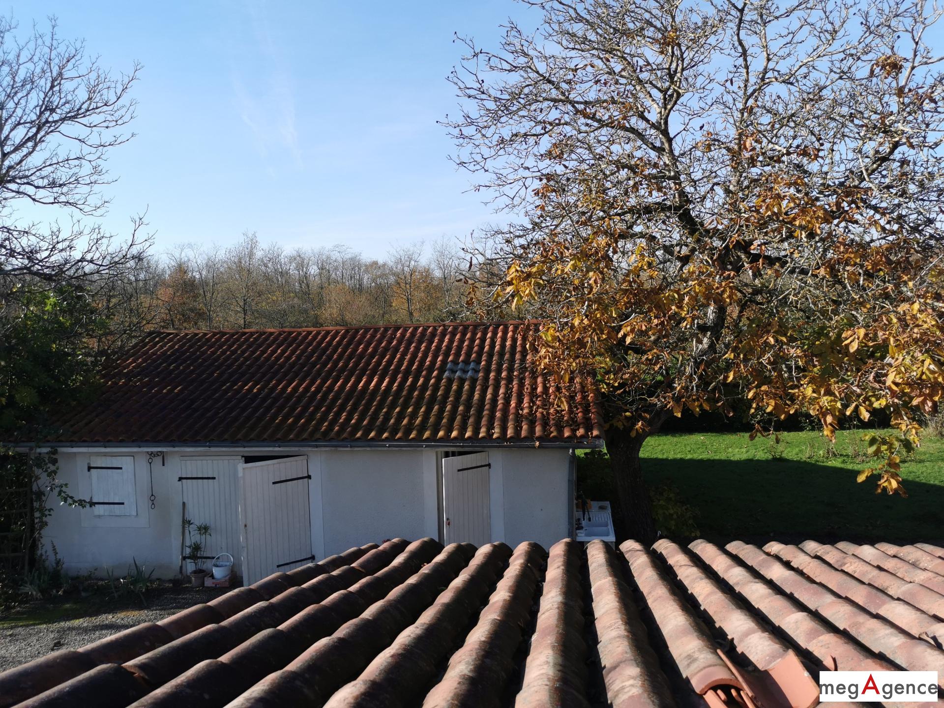 Miniature photo - 16 / 20