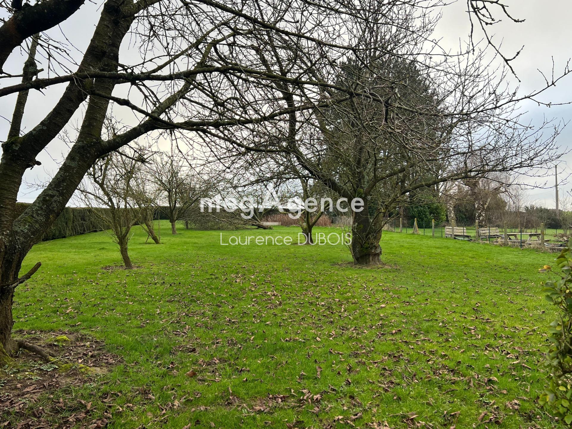 Miniature photo - 18 / 20