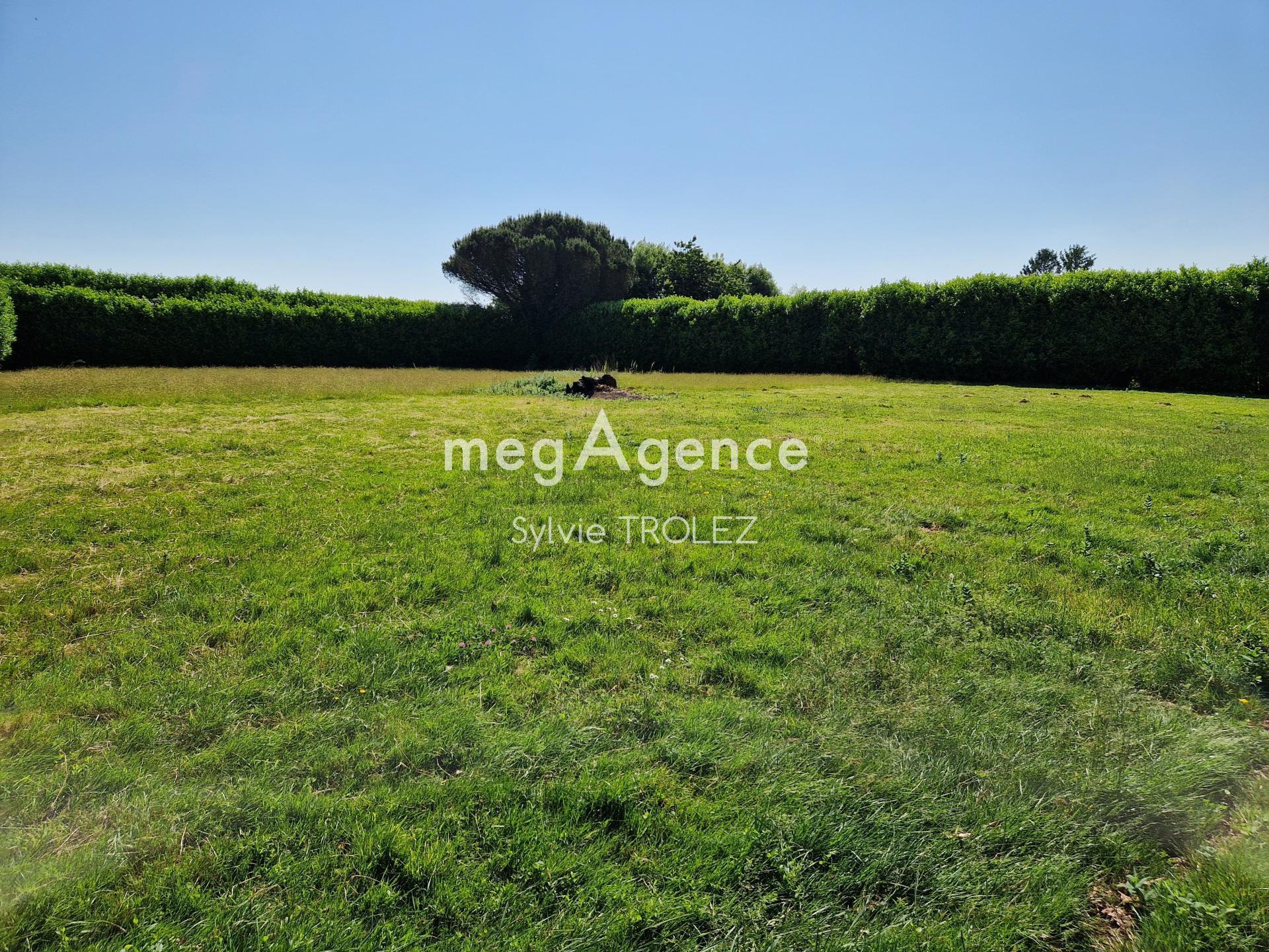 Miniature photo - 2 / 4