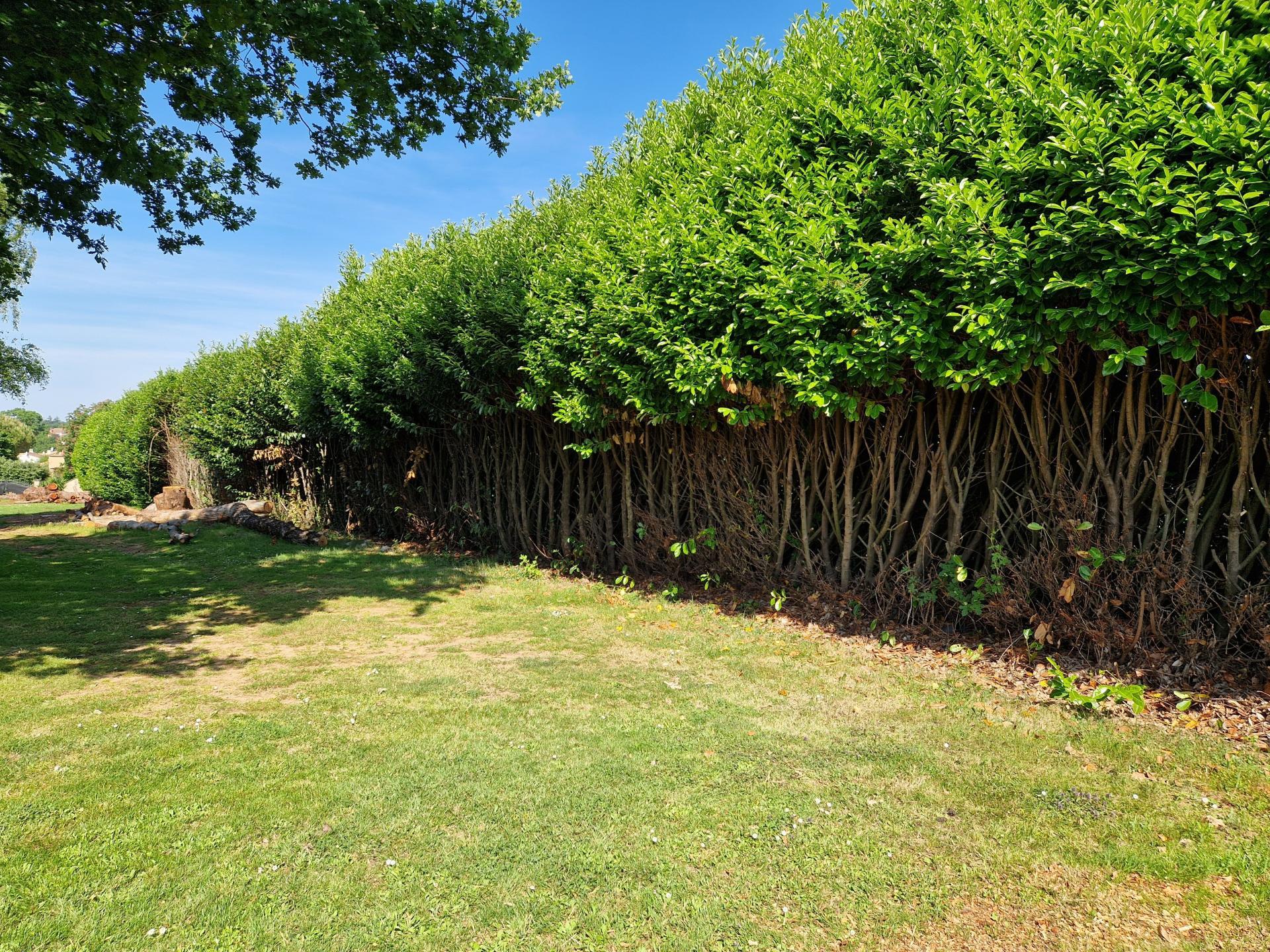 Miniature photo - 4 / 5