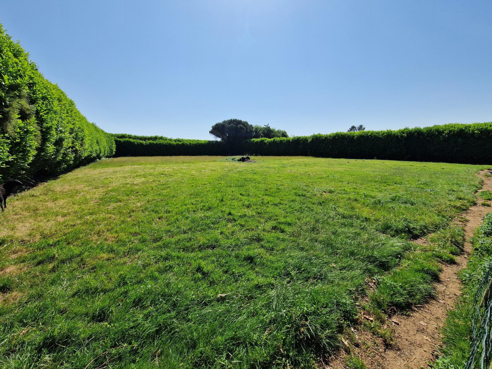 Miniature photo - 2 / 5