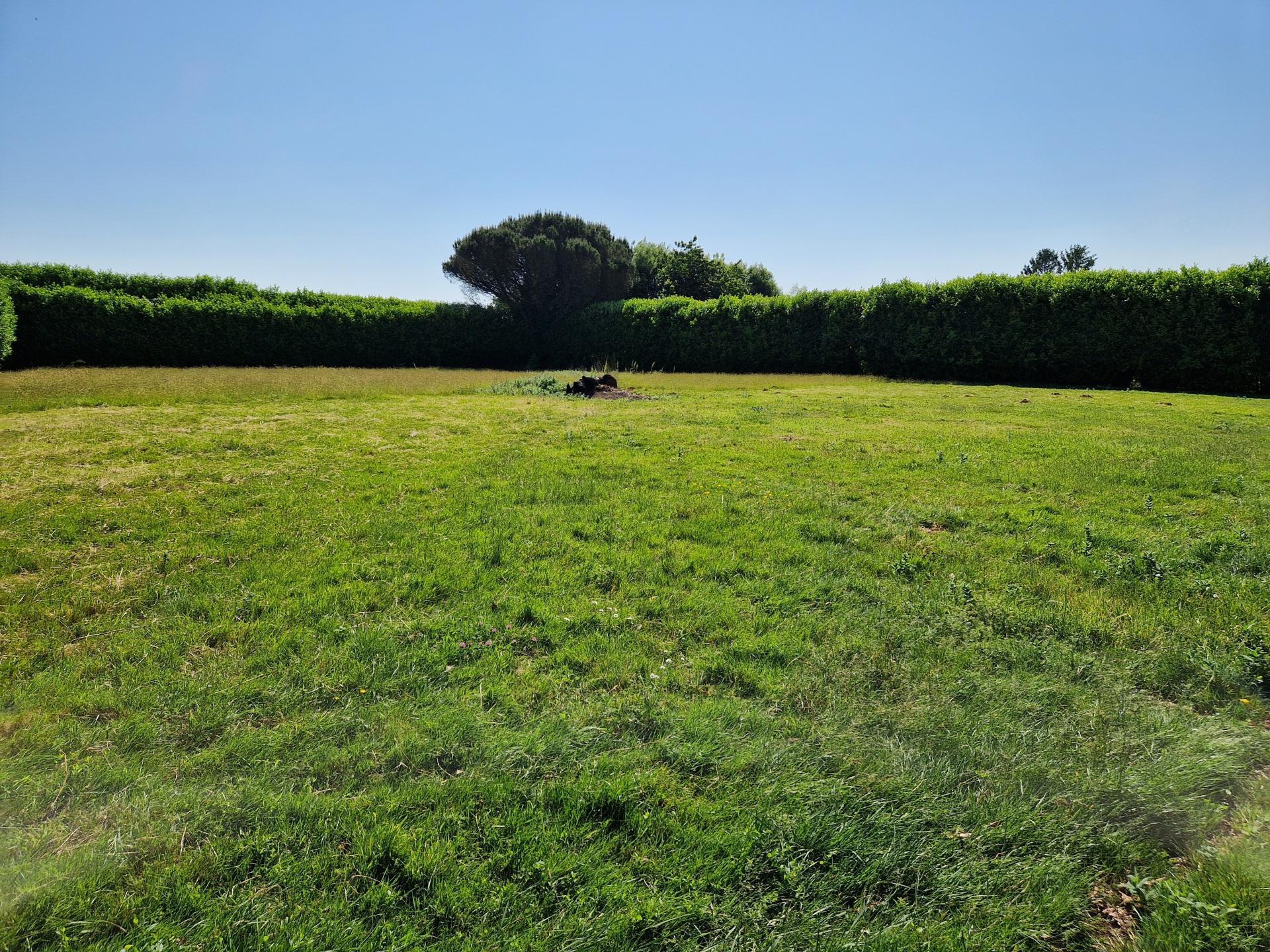 Miniature photo - 3 / 5