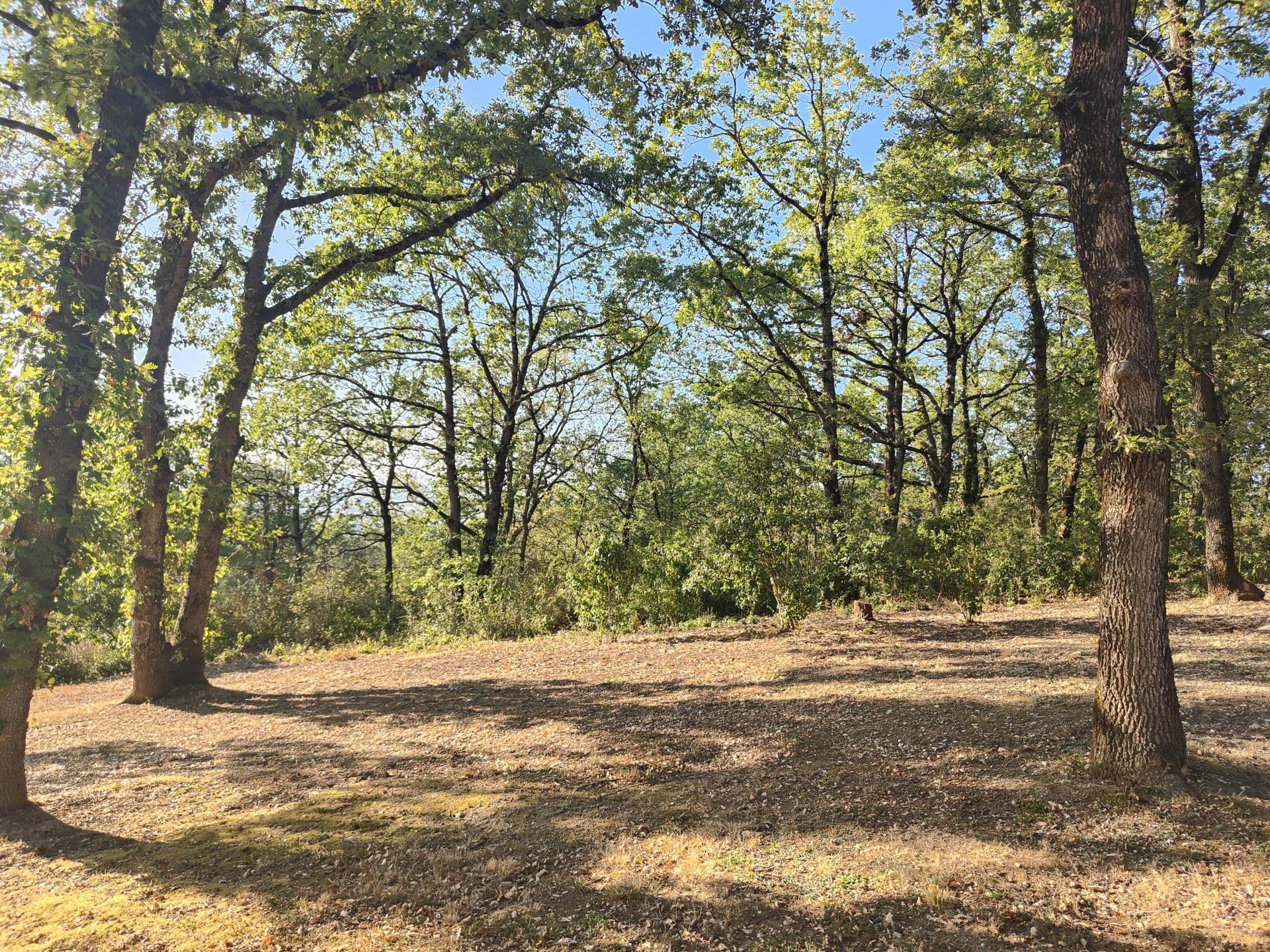 Photographie descriptive du bien