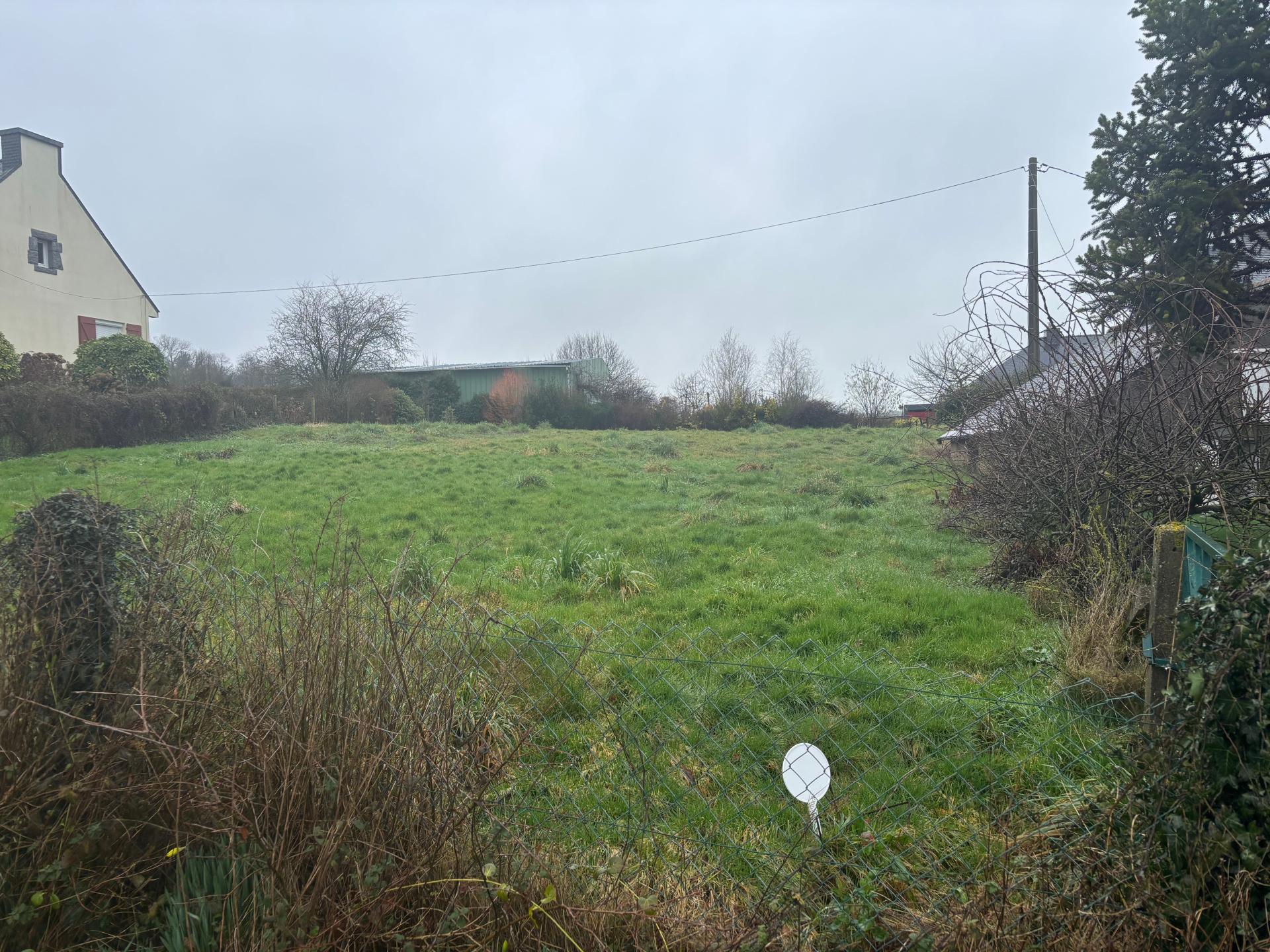 Miniature photo - 2 / 3