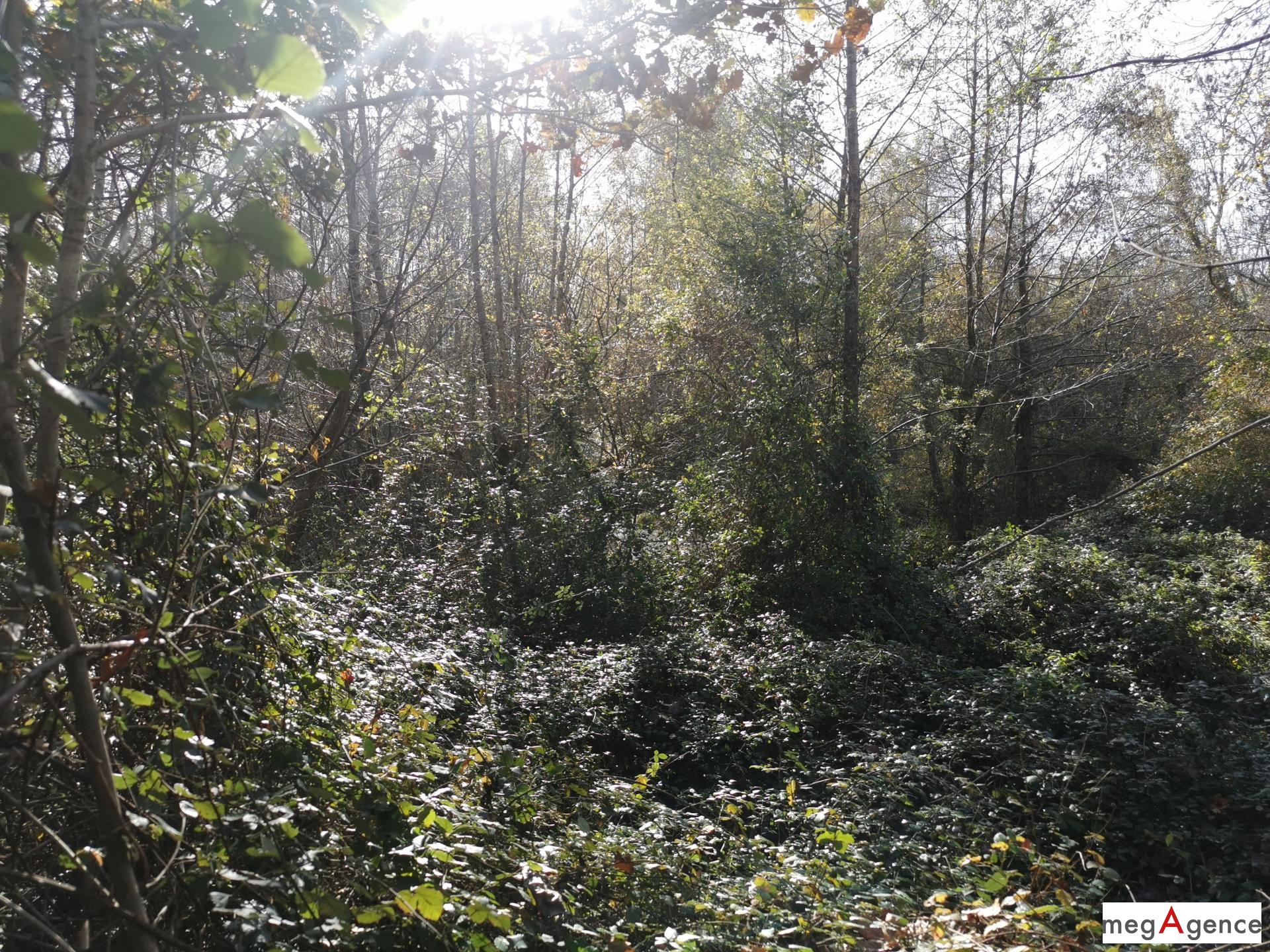 Miniature photo - 3 / 5