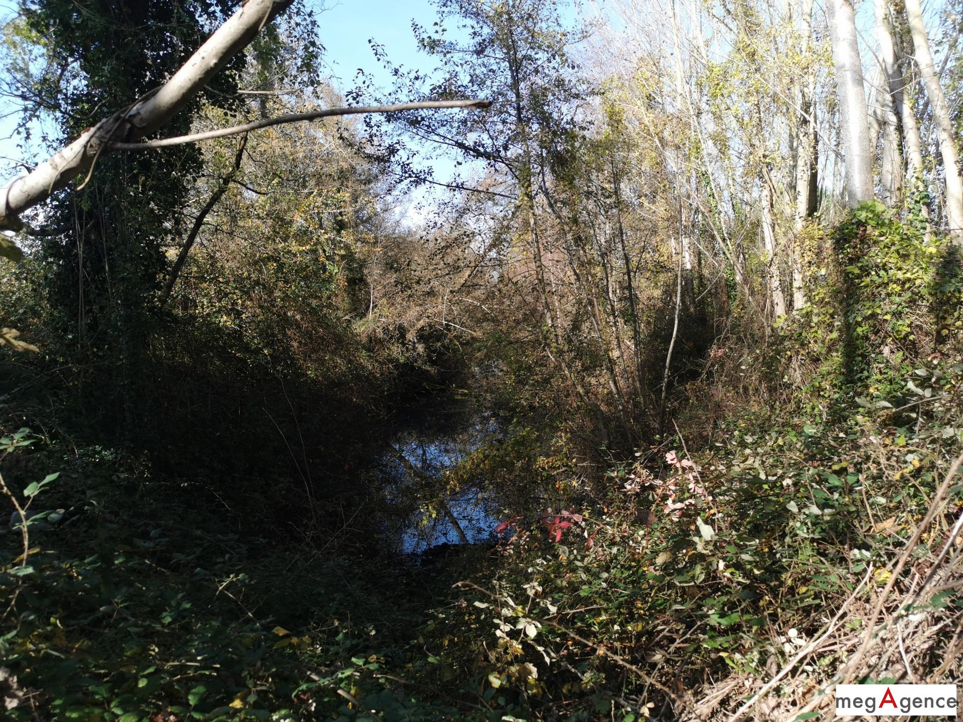 Miniature photo - 4 / 5