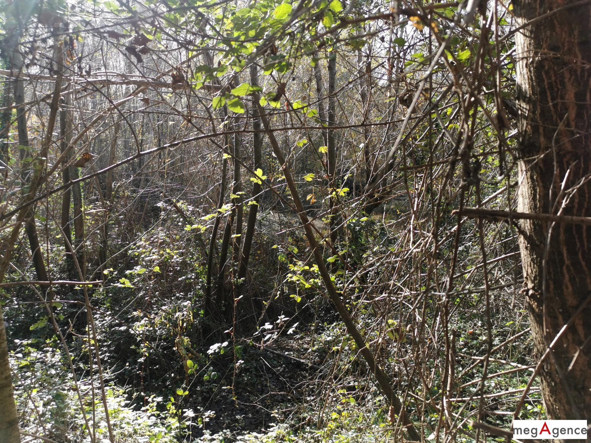 Miniature photo - 2 / 5