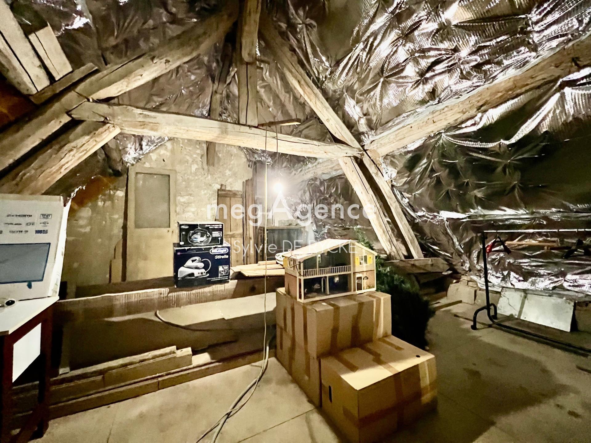 Miniature photo - 10 / 10