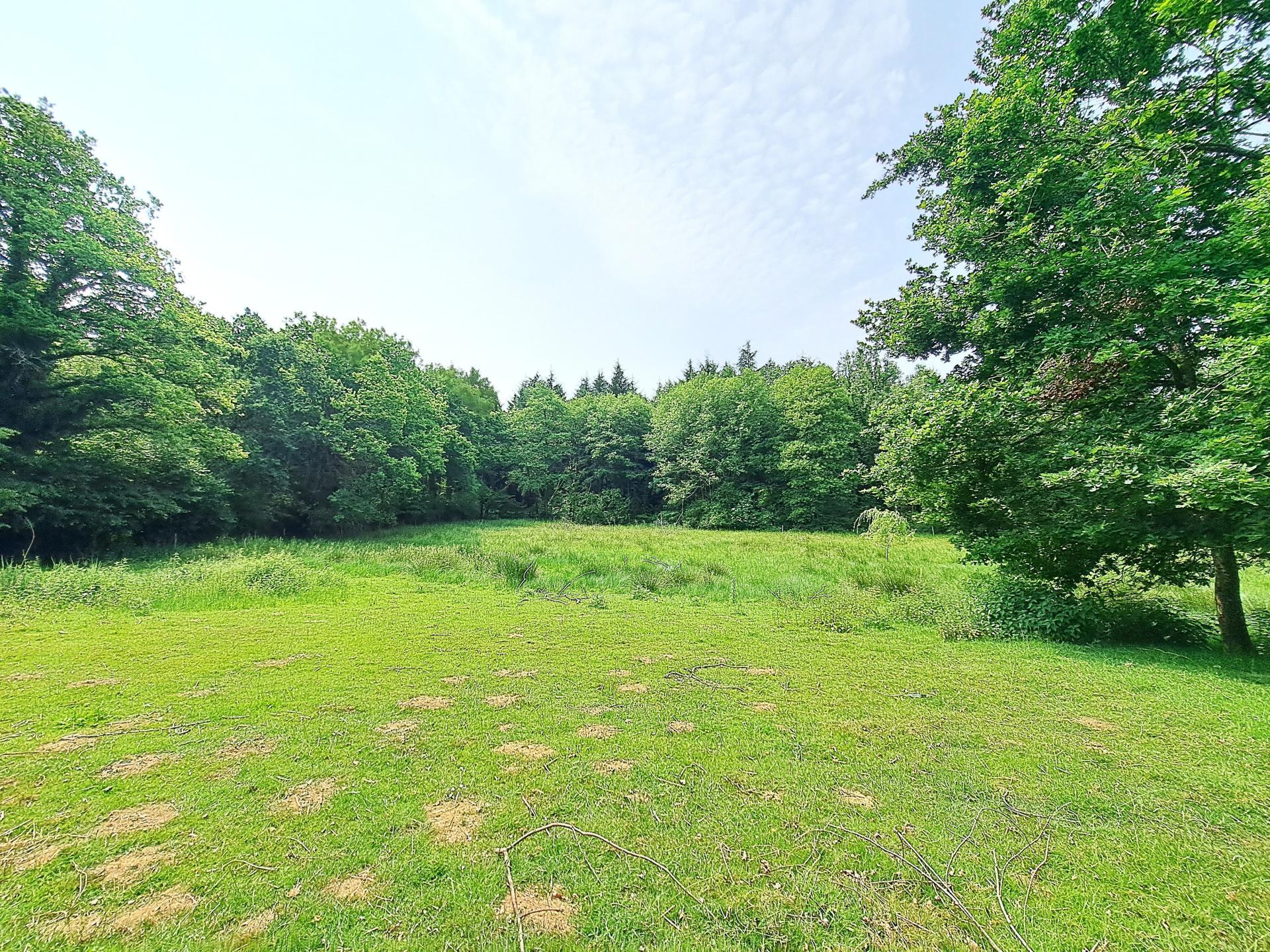 Miniature photo - 13 / 14