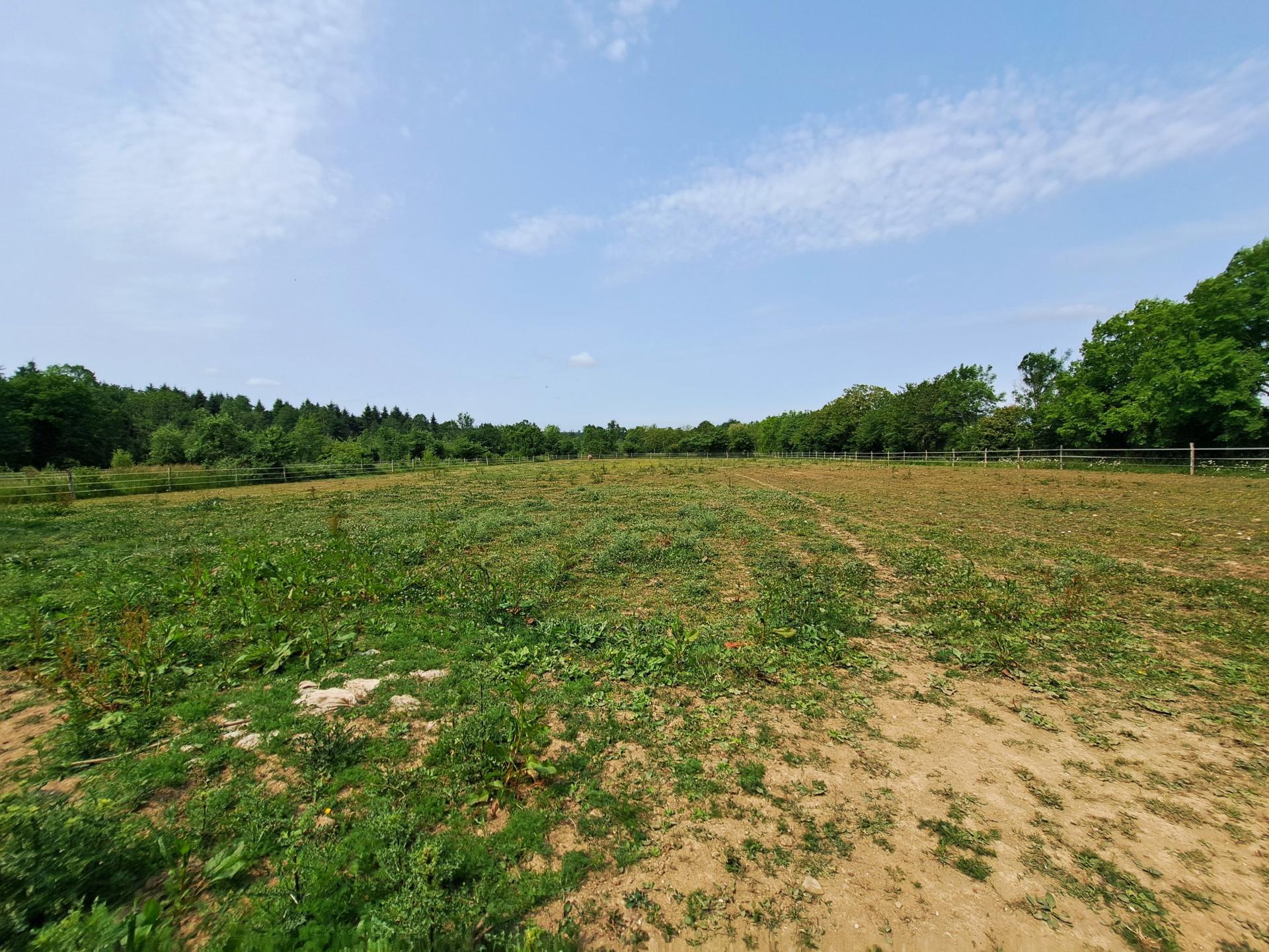 Miniature photo - 11 / 14