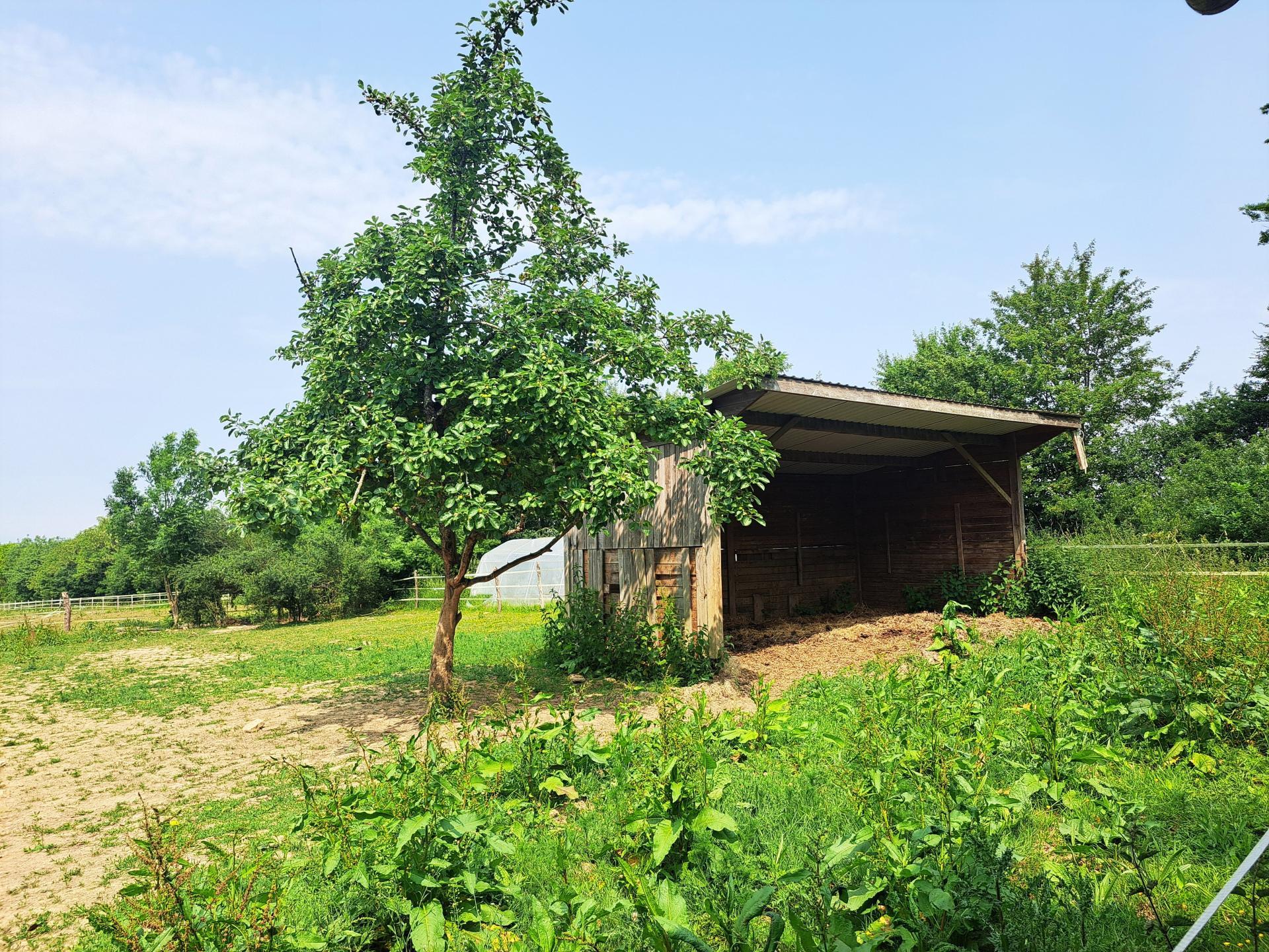 Miniature photo - 14 / 14