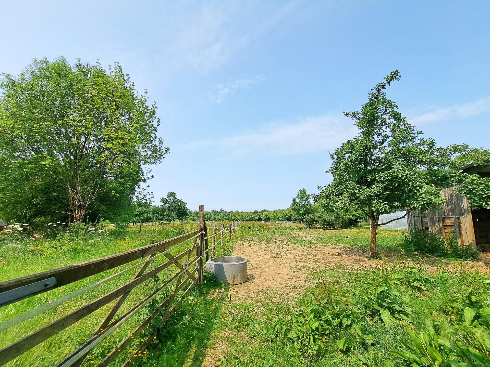 Miniature photo - 12 / 14