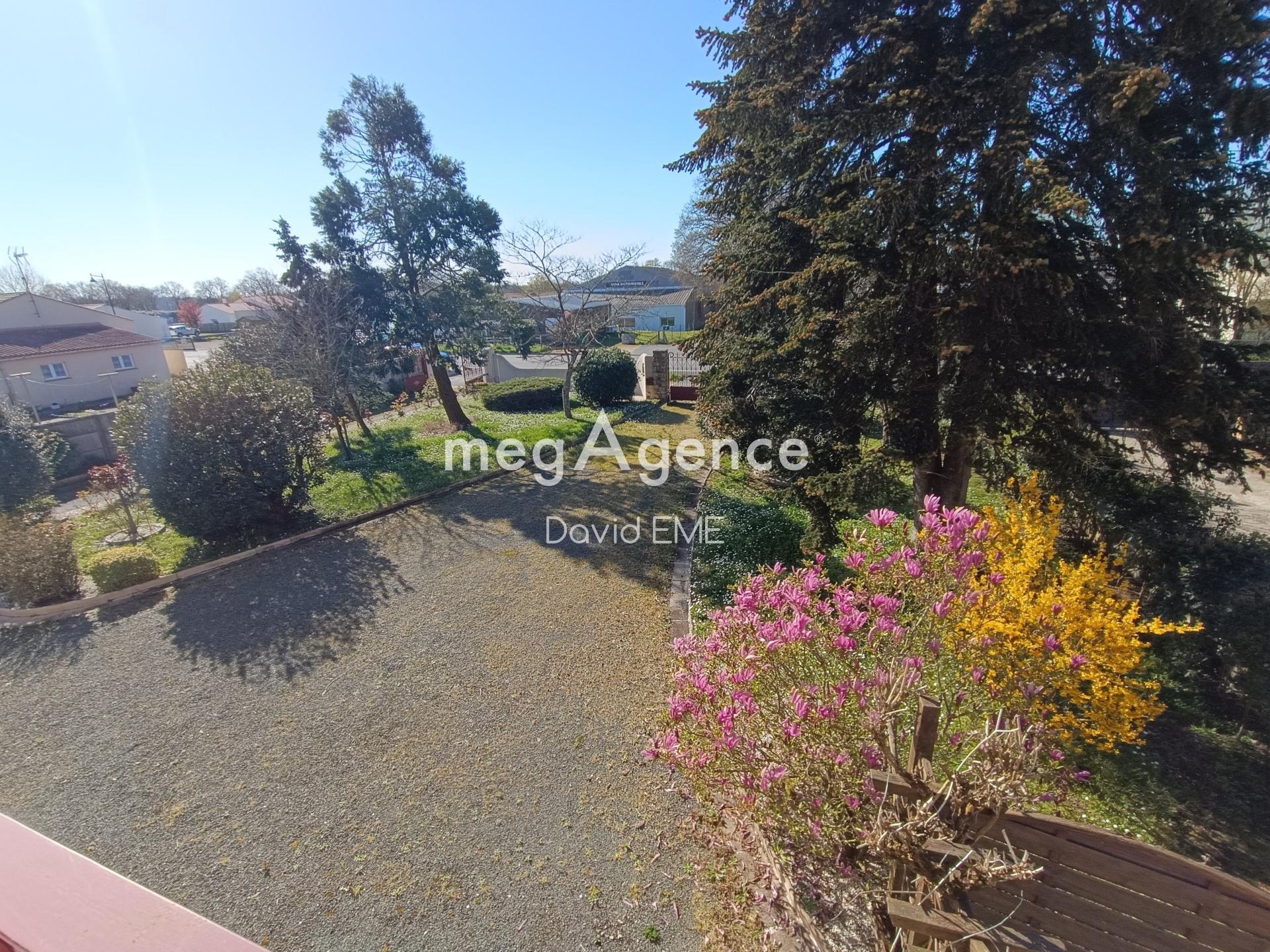 Miniature photo - 2 / 12