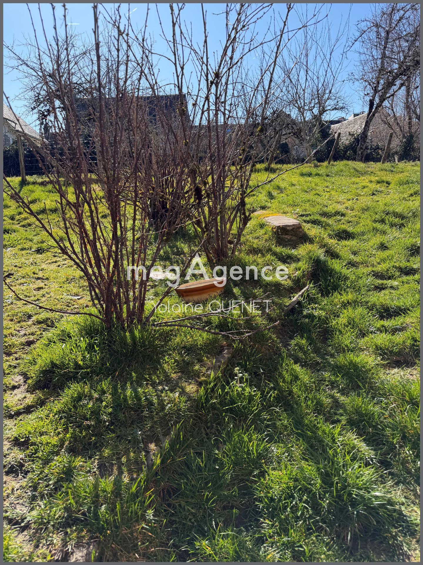 Miniature photo - 7 / 13