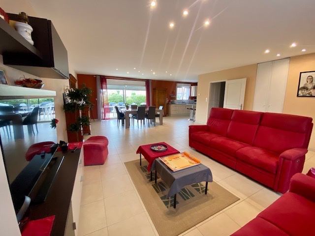 Miniature photo - 4 / 11