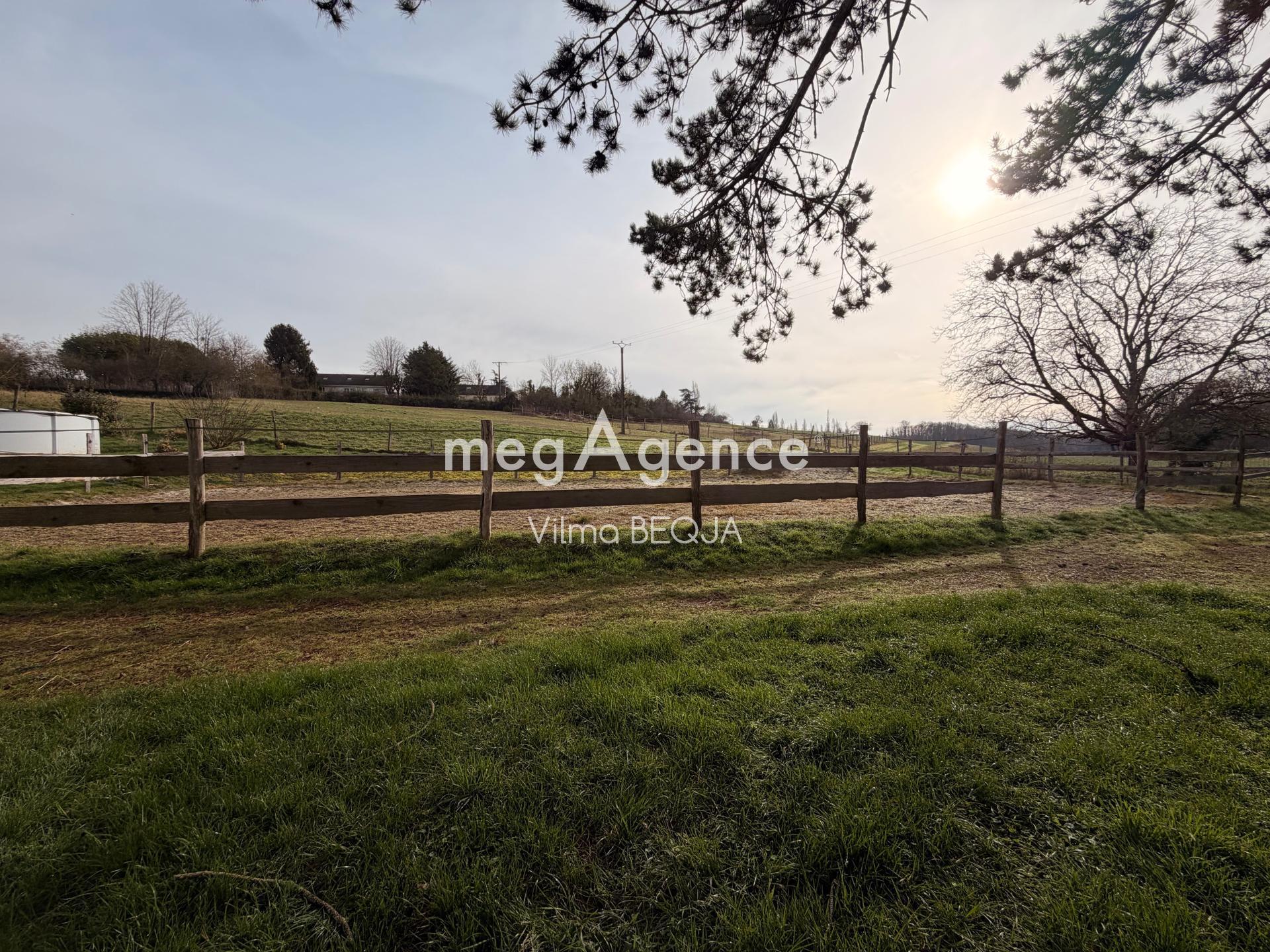 Miniature photo - 13 / 14