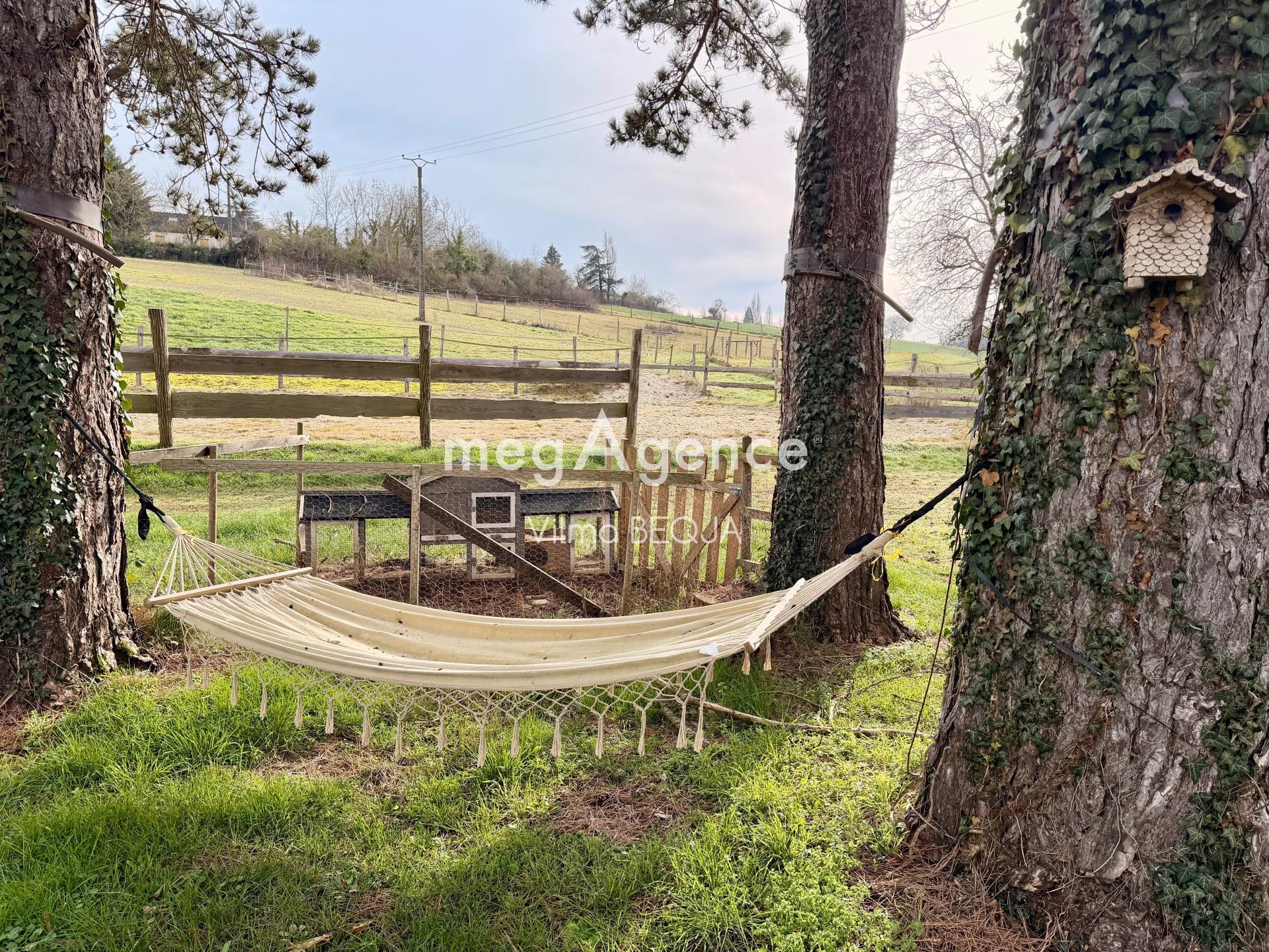 Miniature photo - 3 / 14