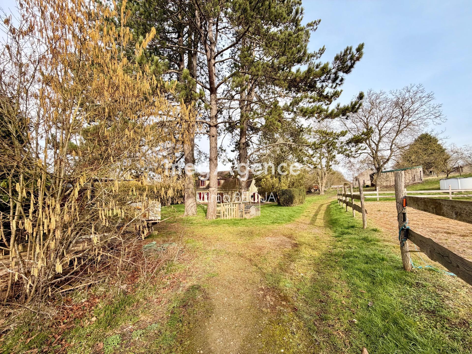 Miniature photo - 6 / 14