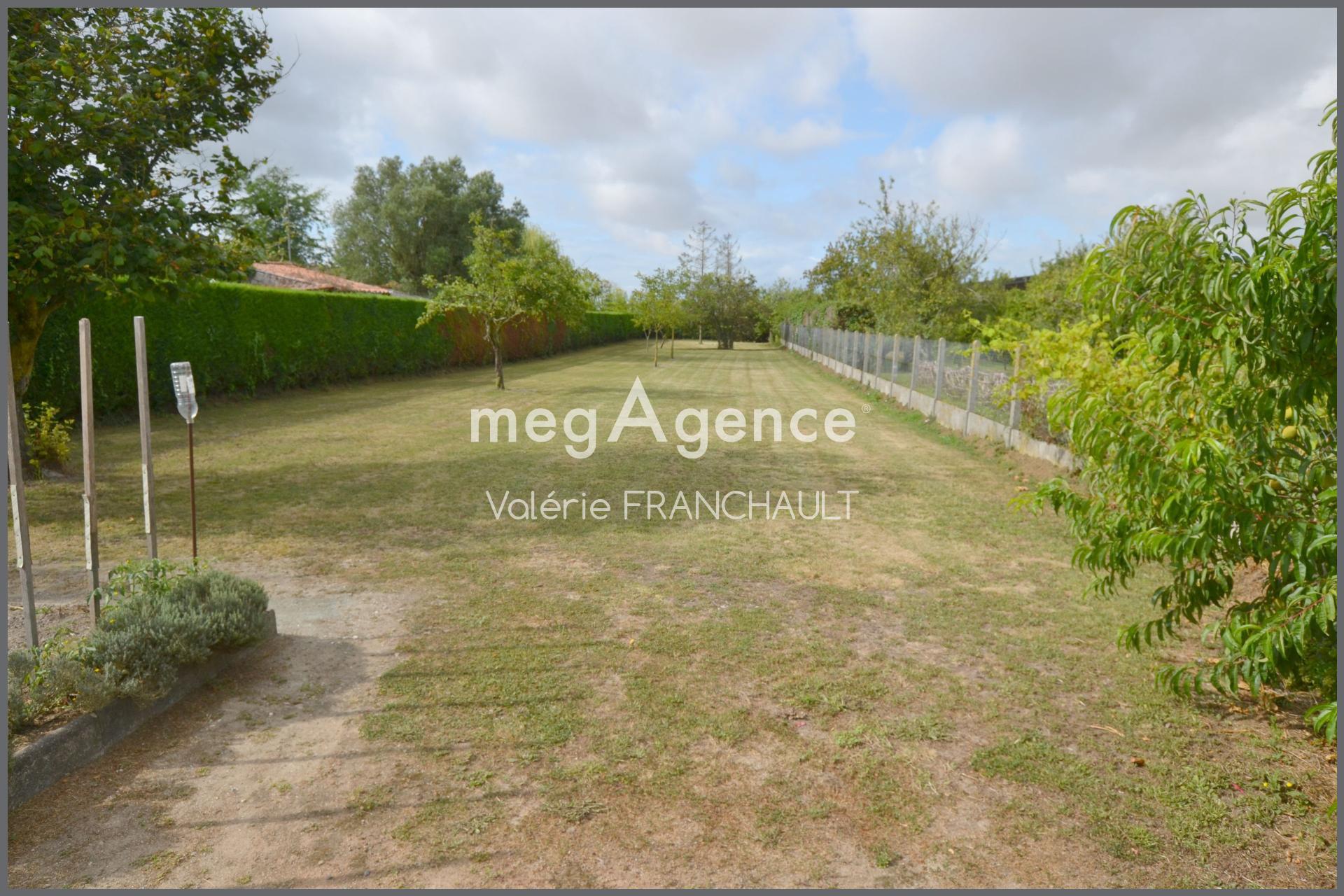 Miniature photo - 8 / 8