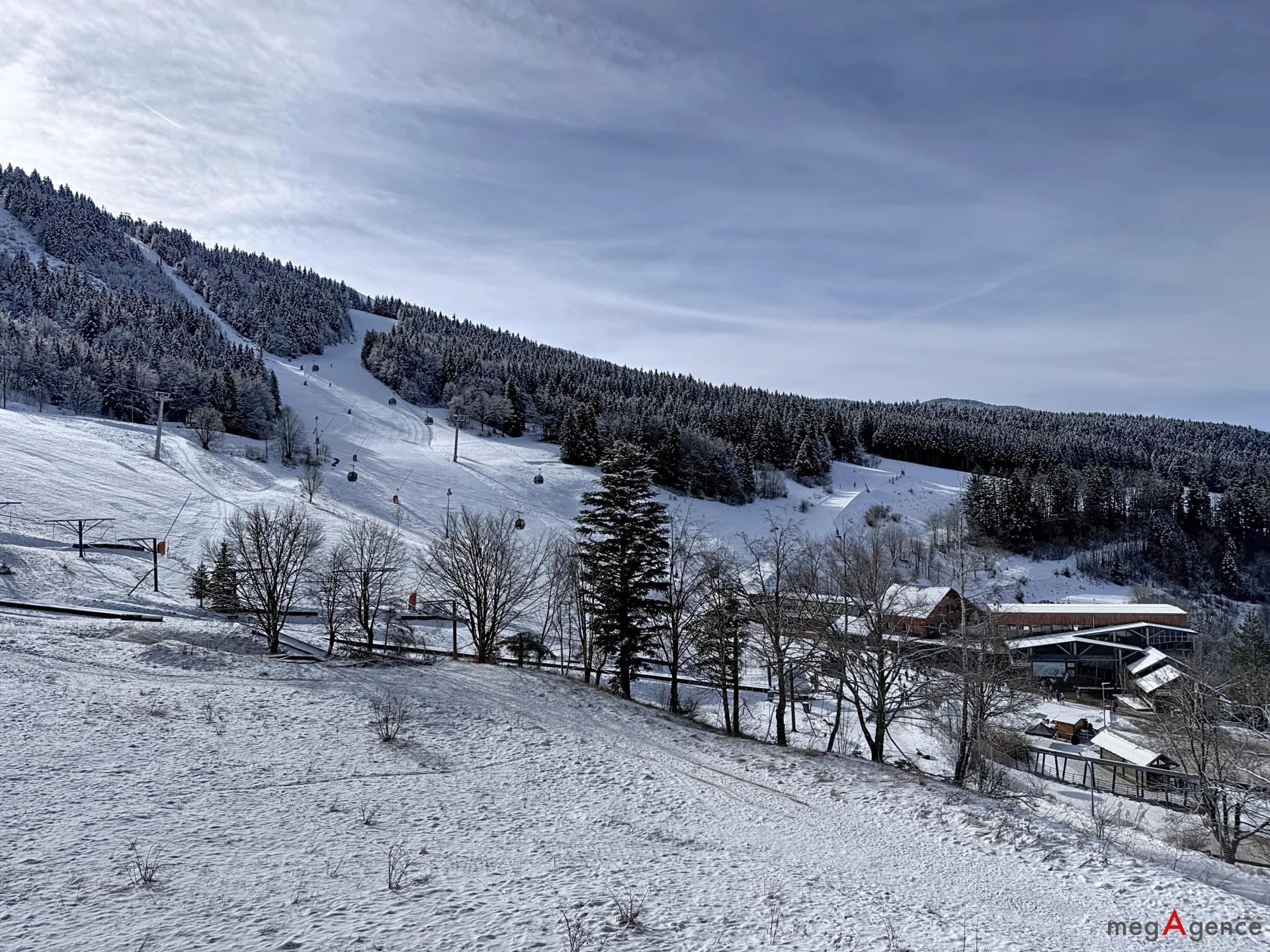 Miniature photo - 5 / 14