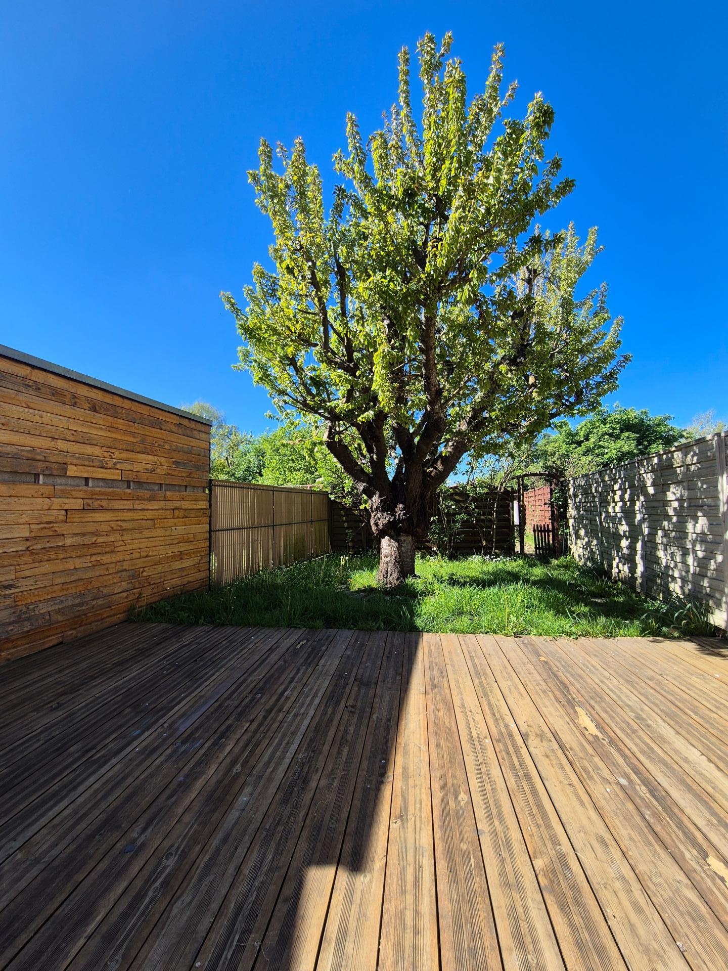 Miniature photo - 13 / 13