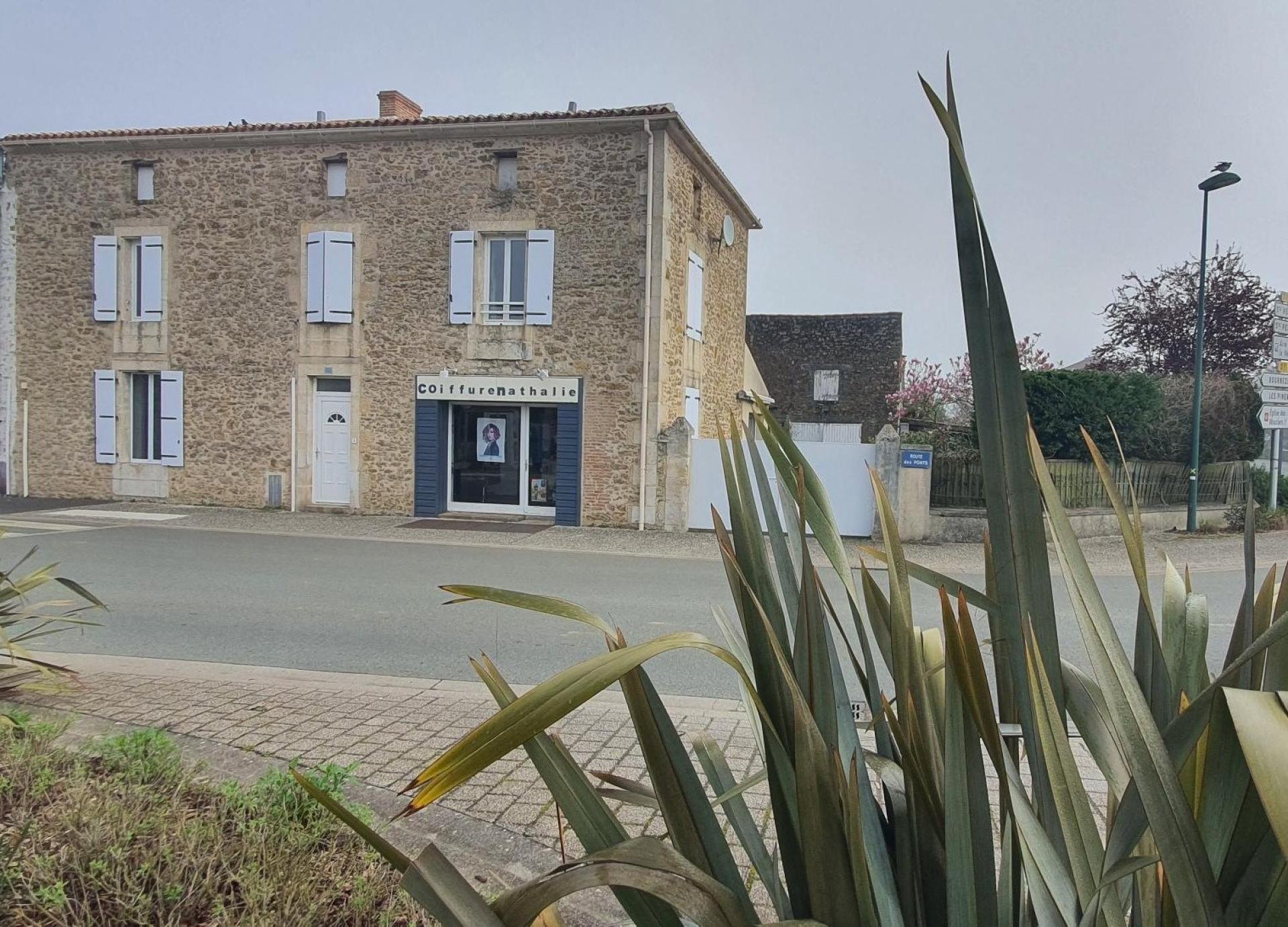 Miniature photo - 4 / 14