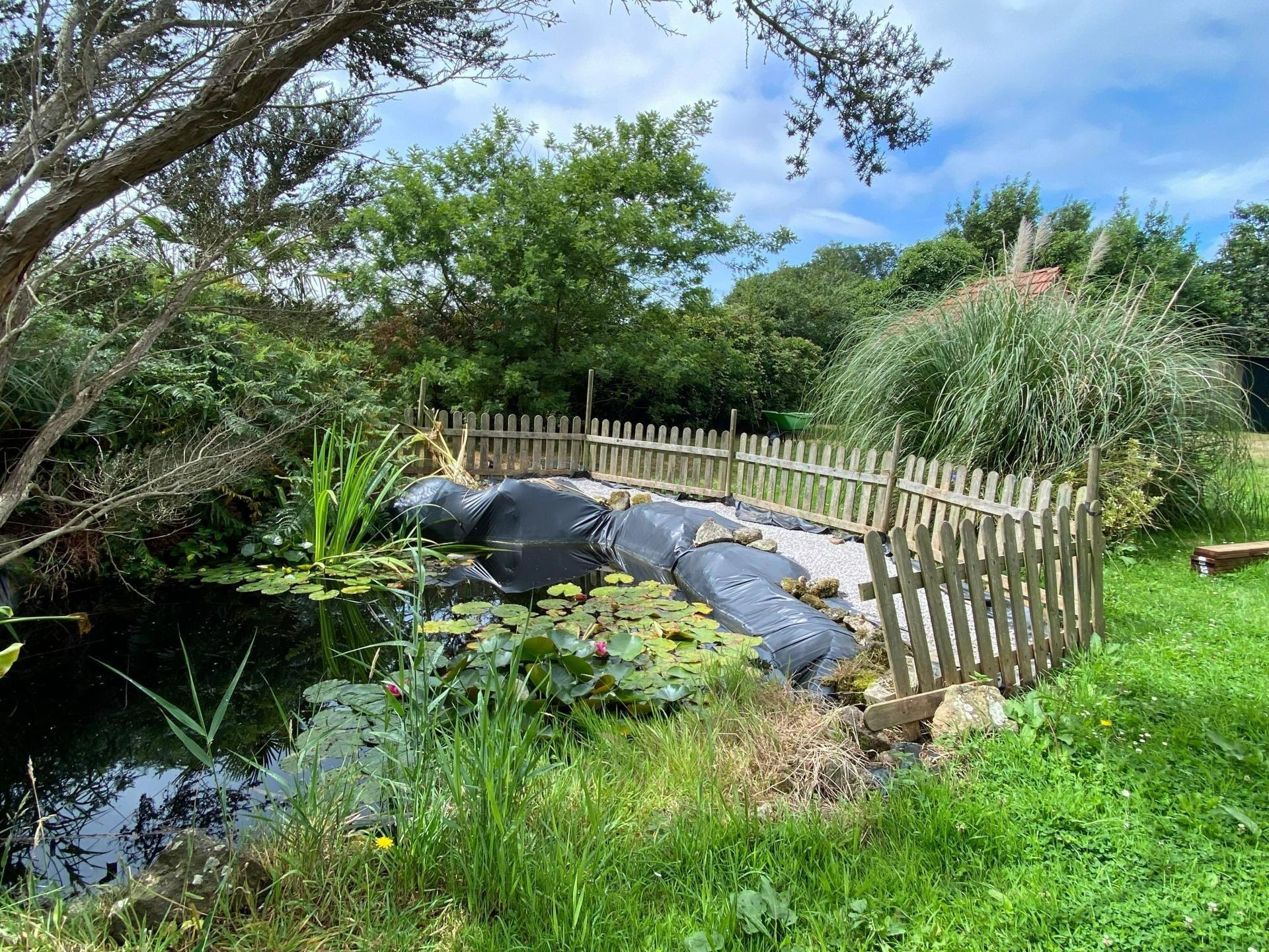 Miniature photo - 7 / 19