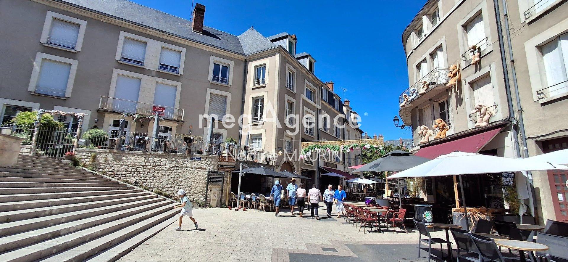 Photographie descriptive du bien