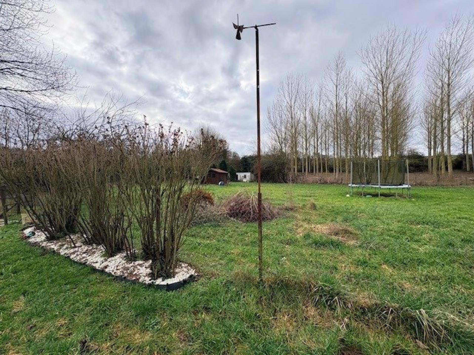 Miniature photo - 10 / 10