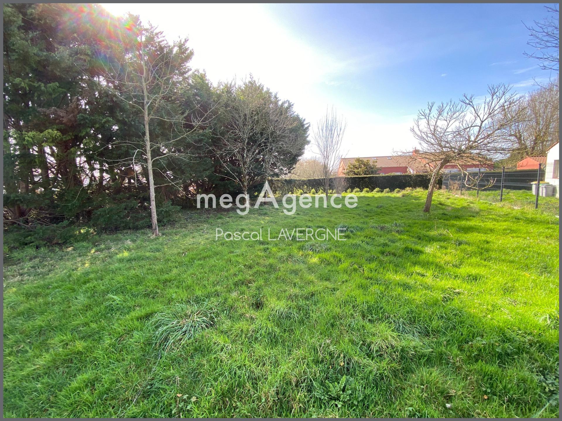 Miniature photo - 2 / 4