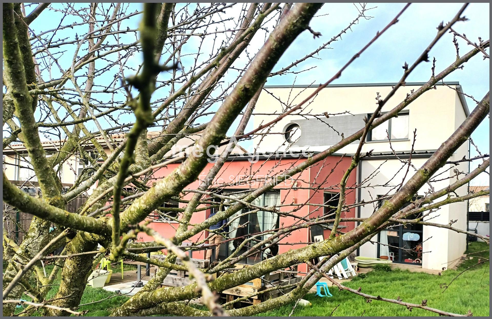 Miniature photo - 3 / 9