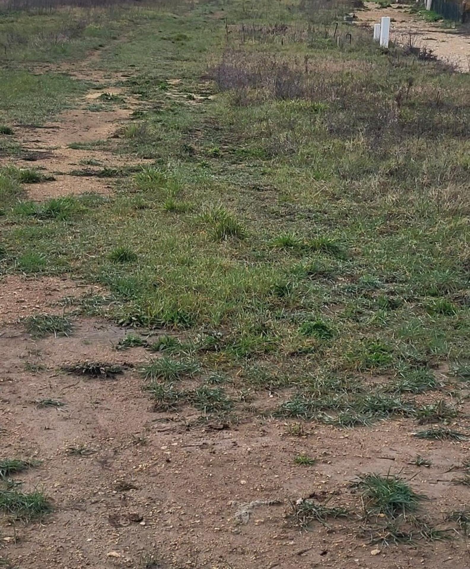 Miniature photo - 2 / 2