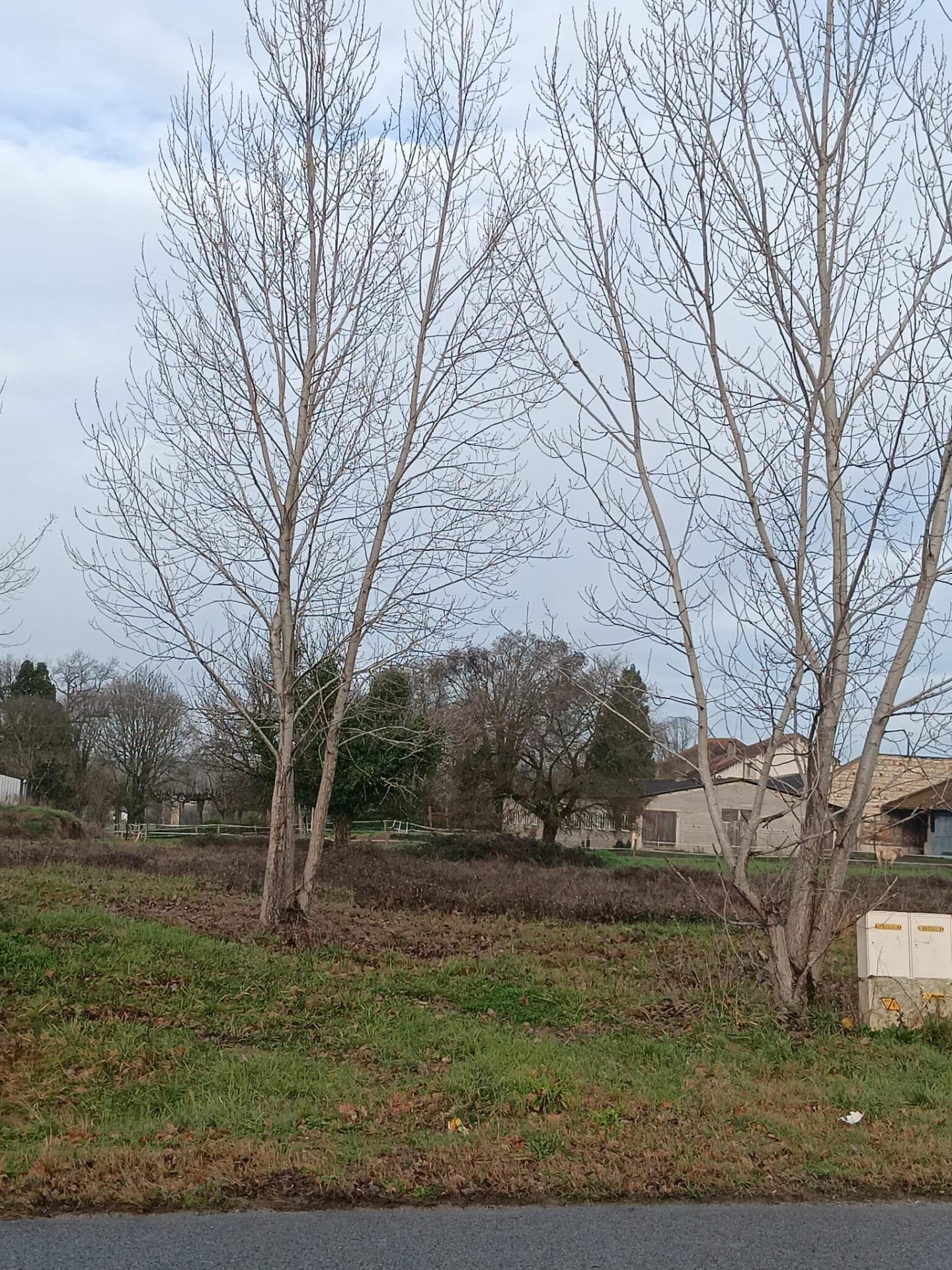 Terrain 5000 m² · à Valence · 5 000 m² · 61 000 €