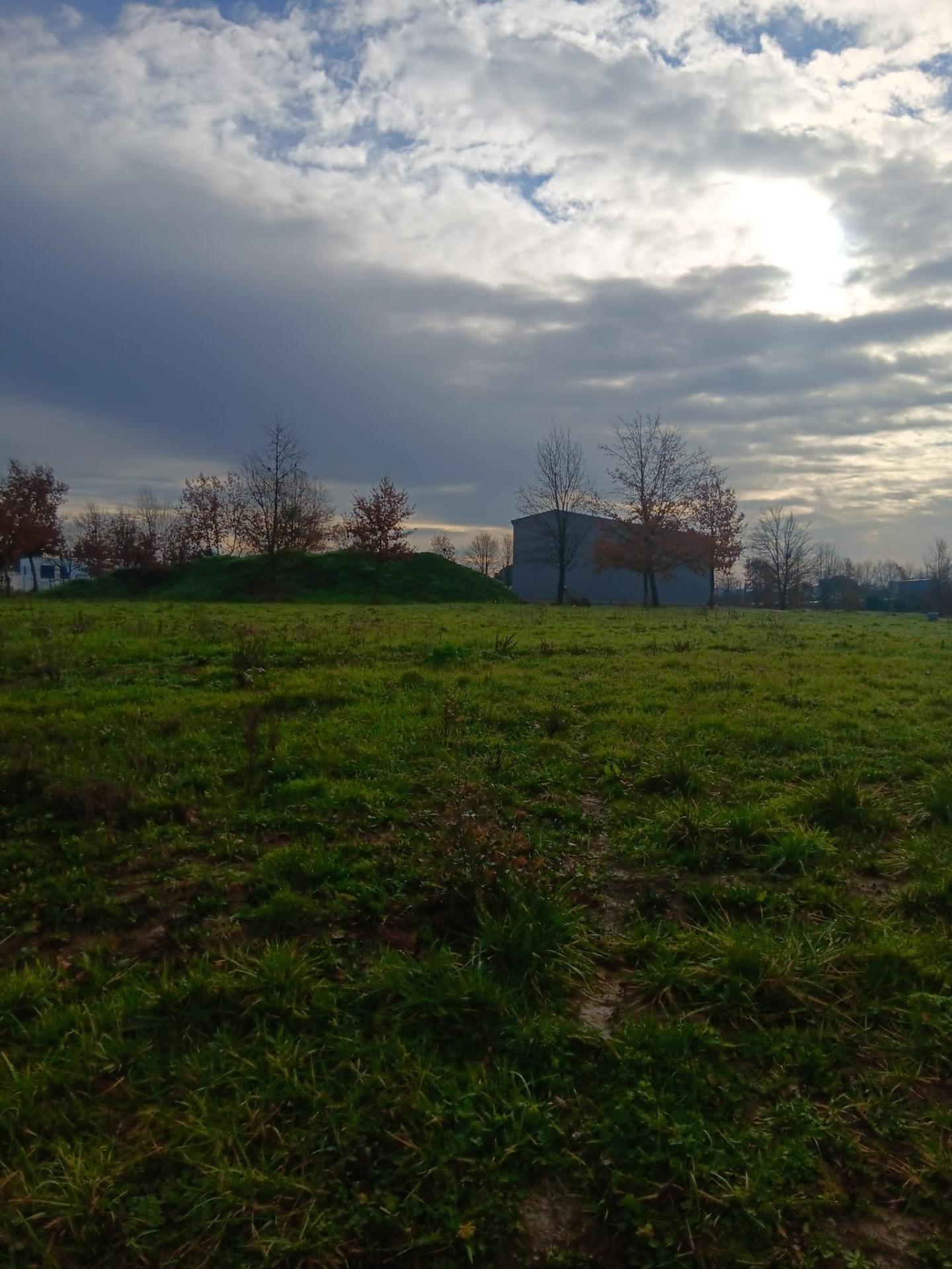 Miniature photo - 3 / 4