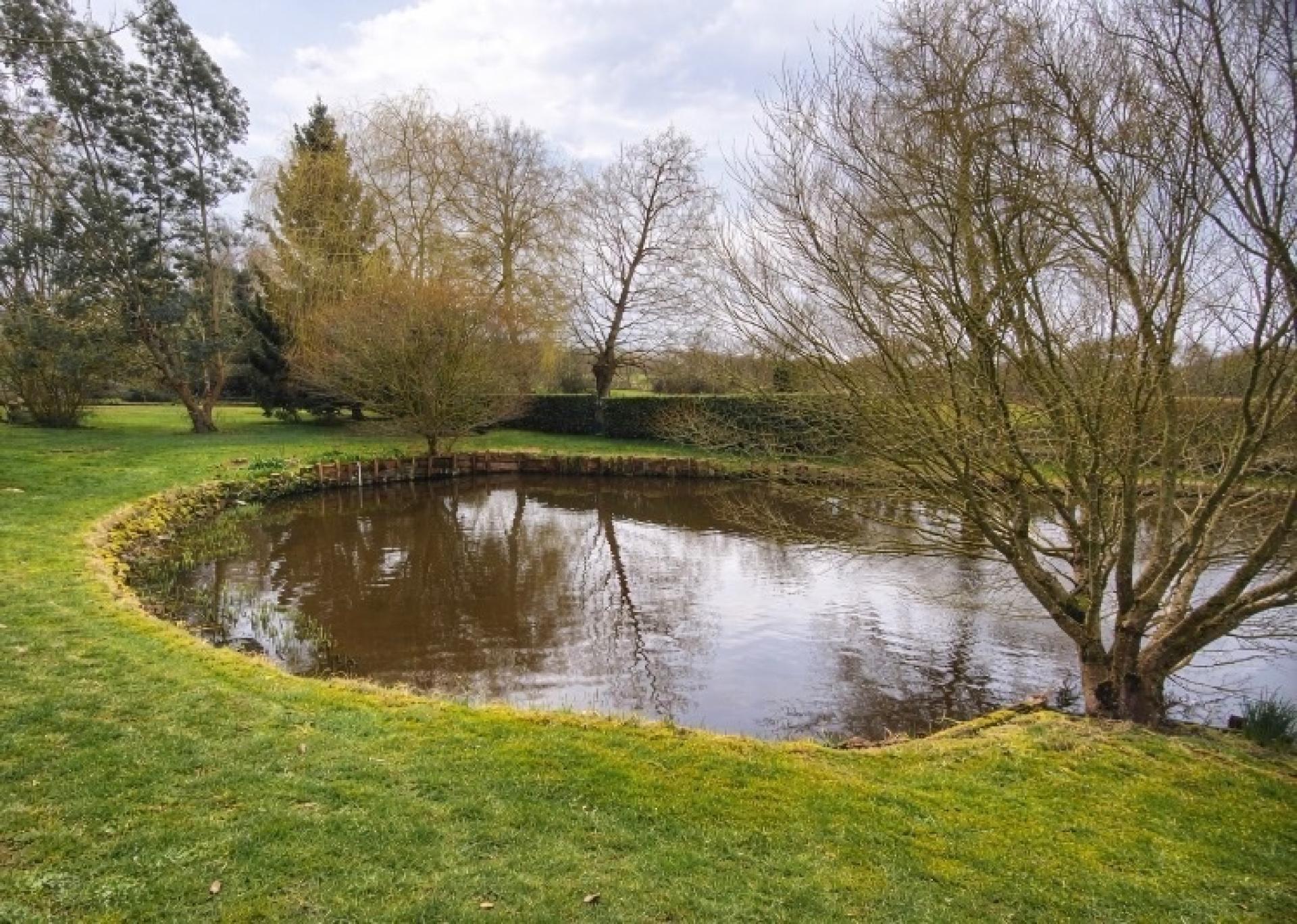 Miniature photo - 13 / 13