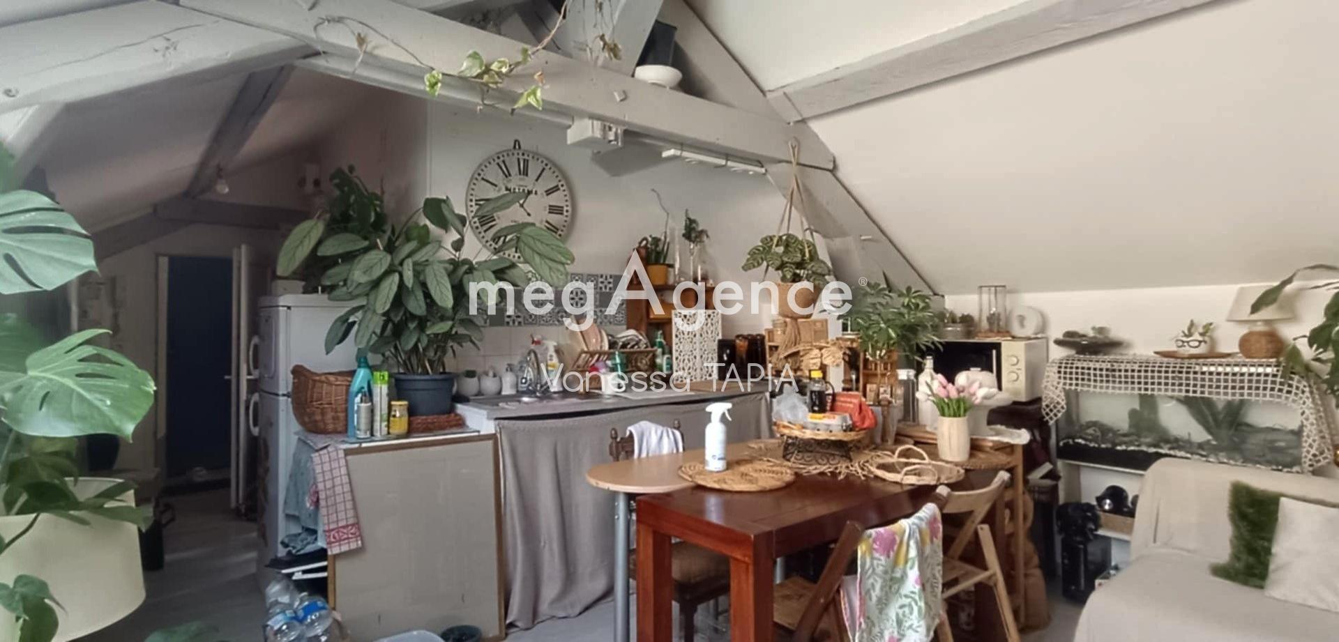 Miniature photo - 15 / 19