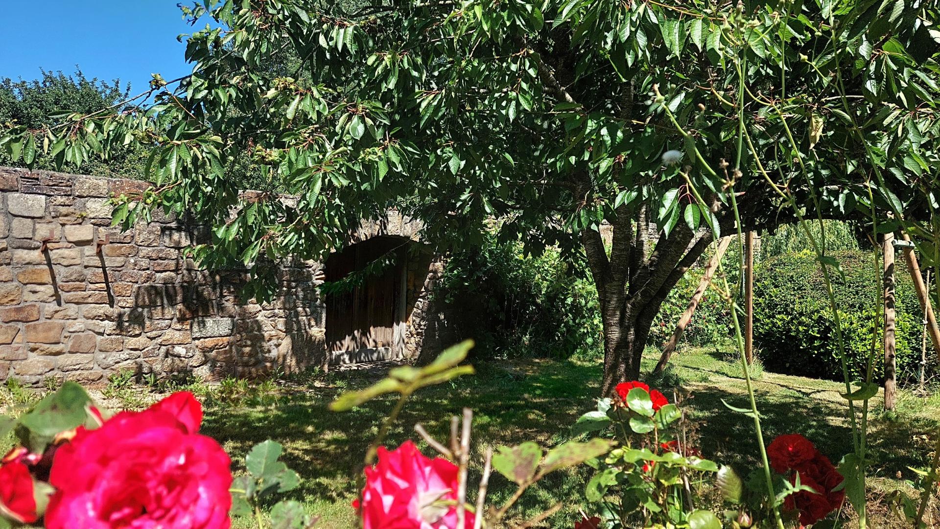 Miniature photo - 11 / 11