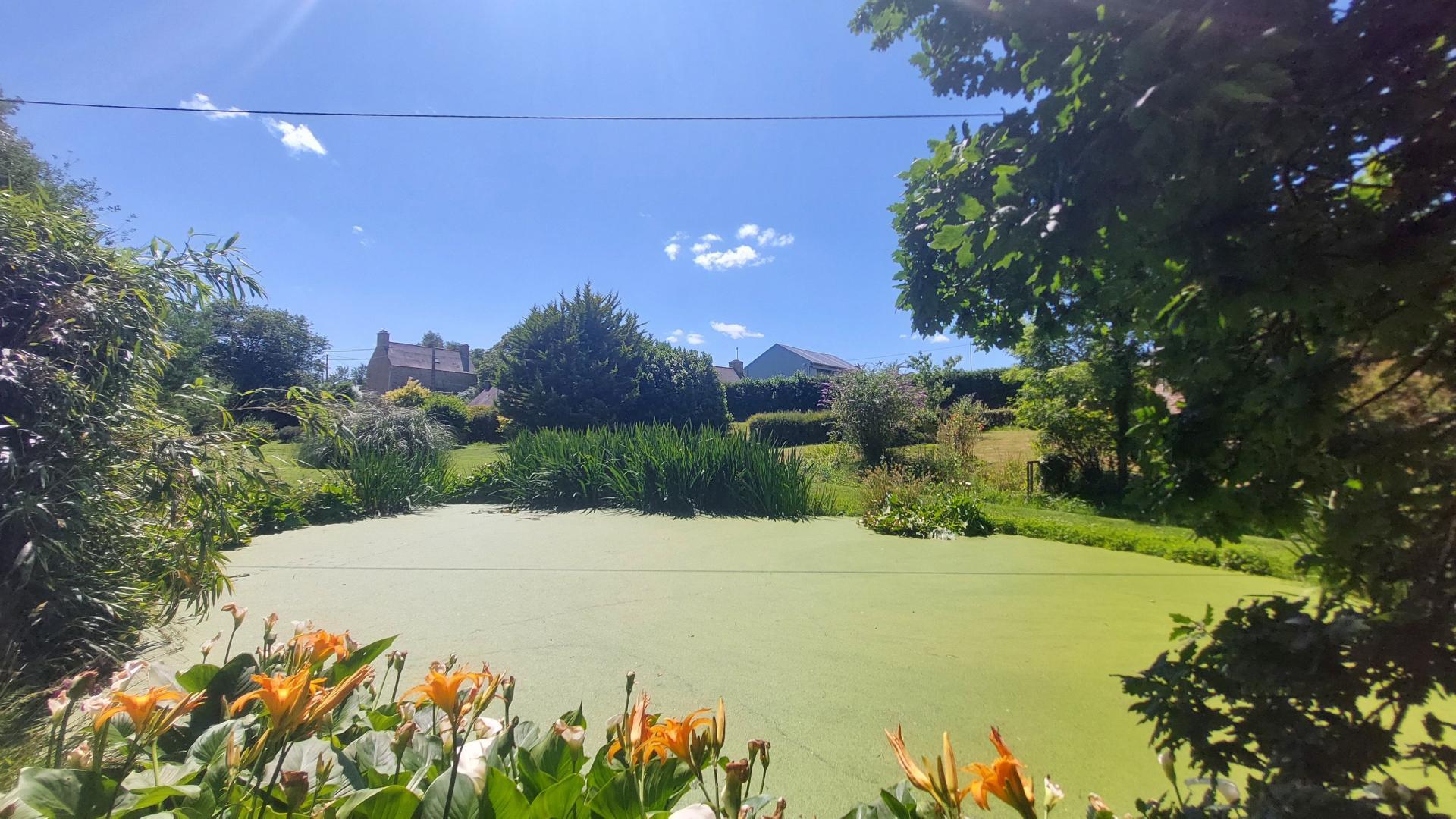 Miniature photo - 3 / 11