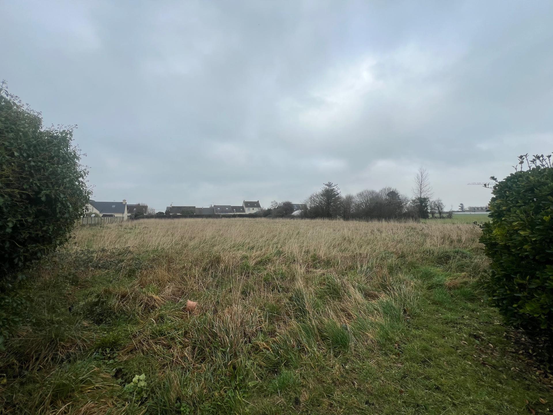 Miniature photo - 10 / 12