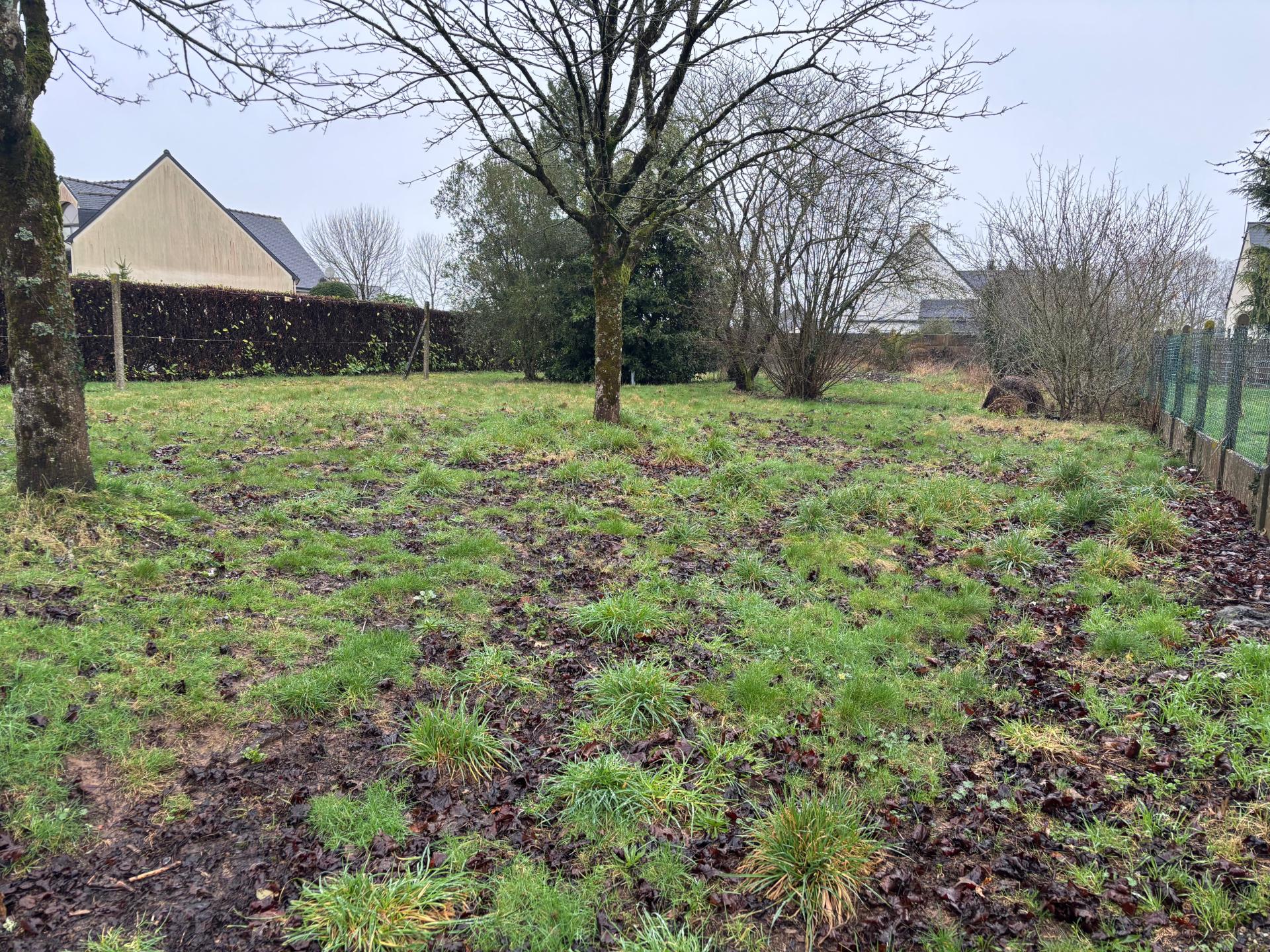 Miniature photo - 2 / 3