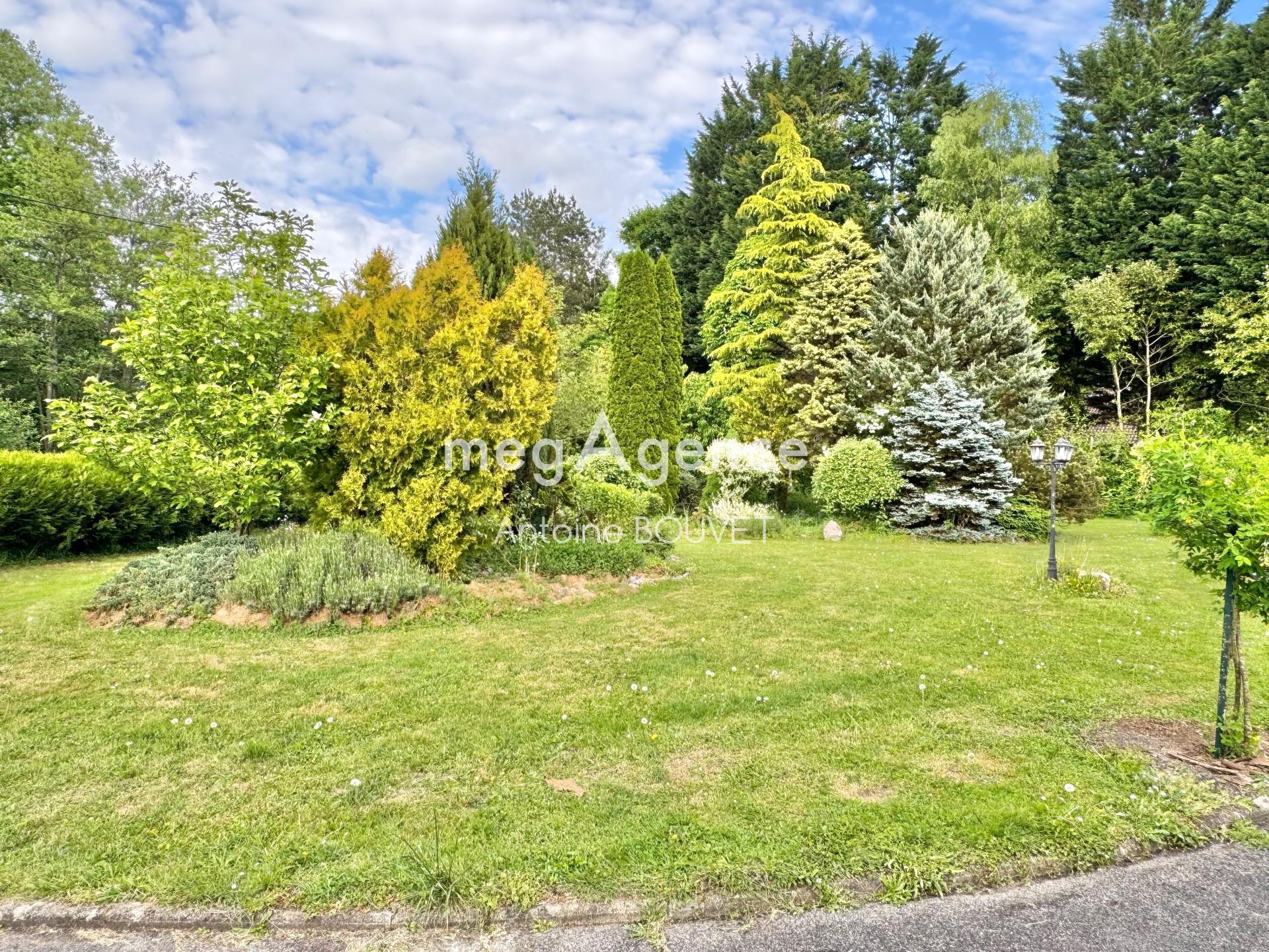 Miniature photo - 4 / 12