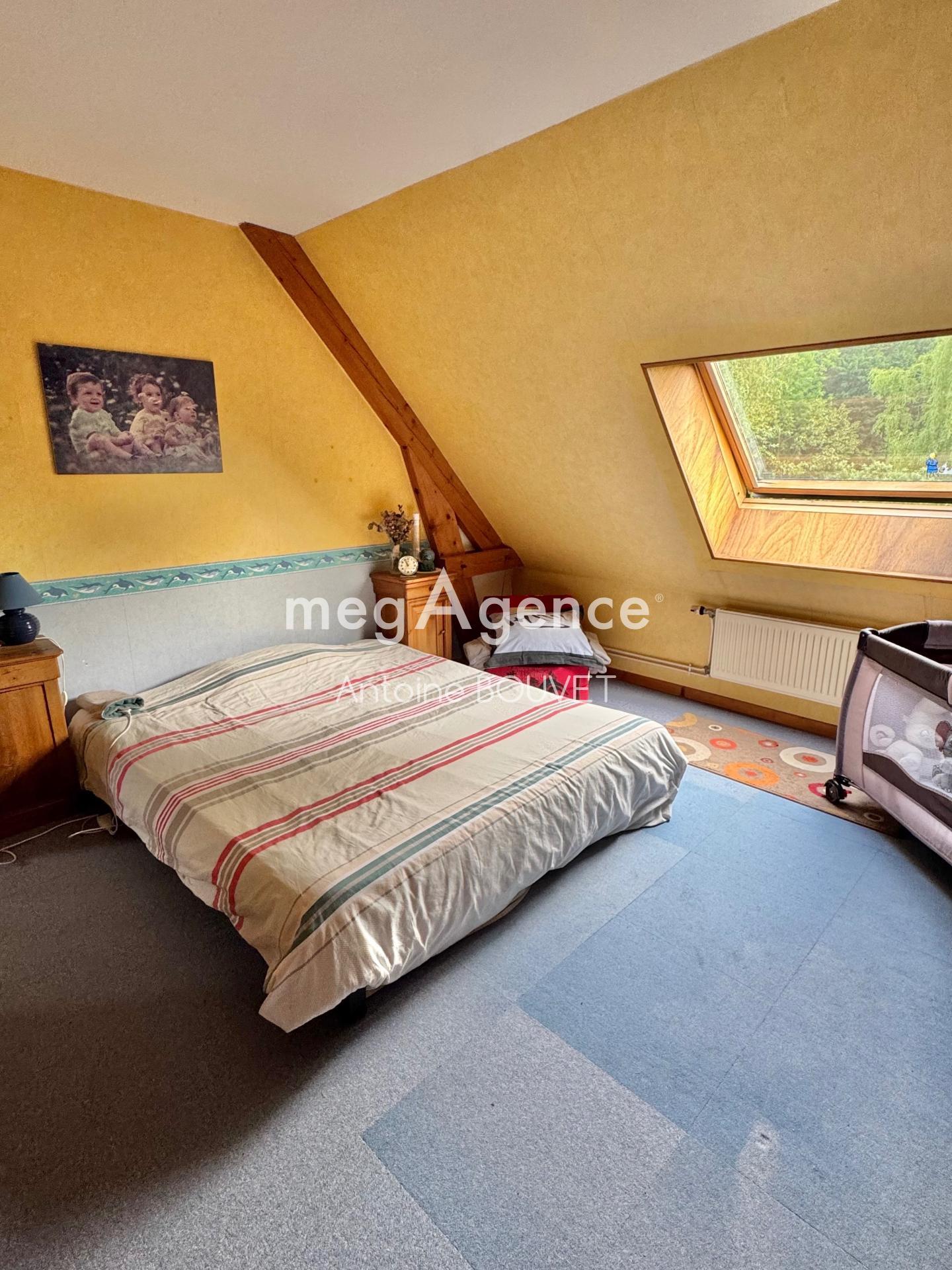 Miniature photo - 11 / 12