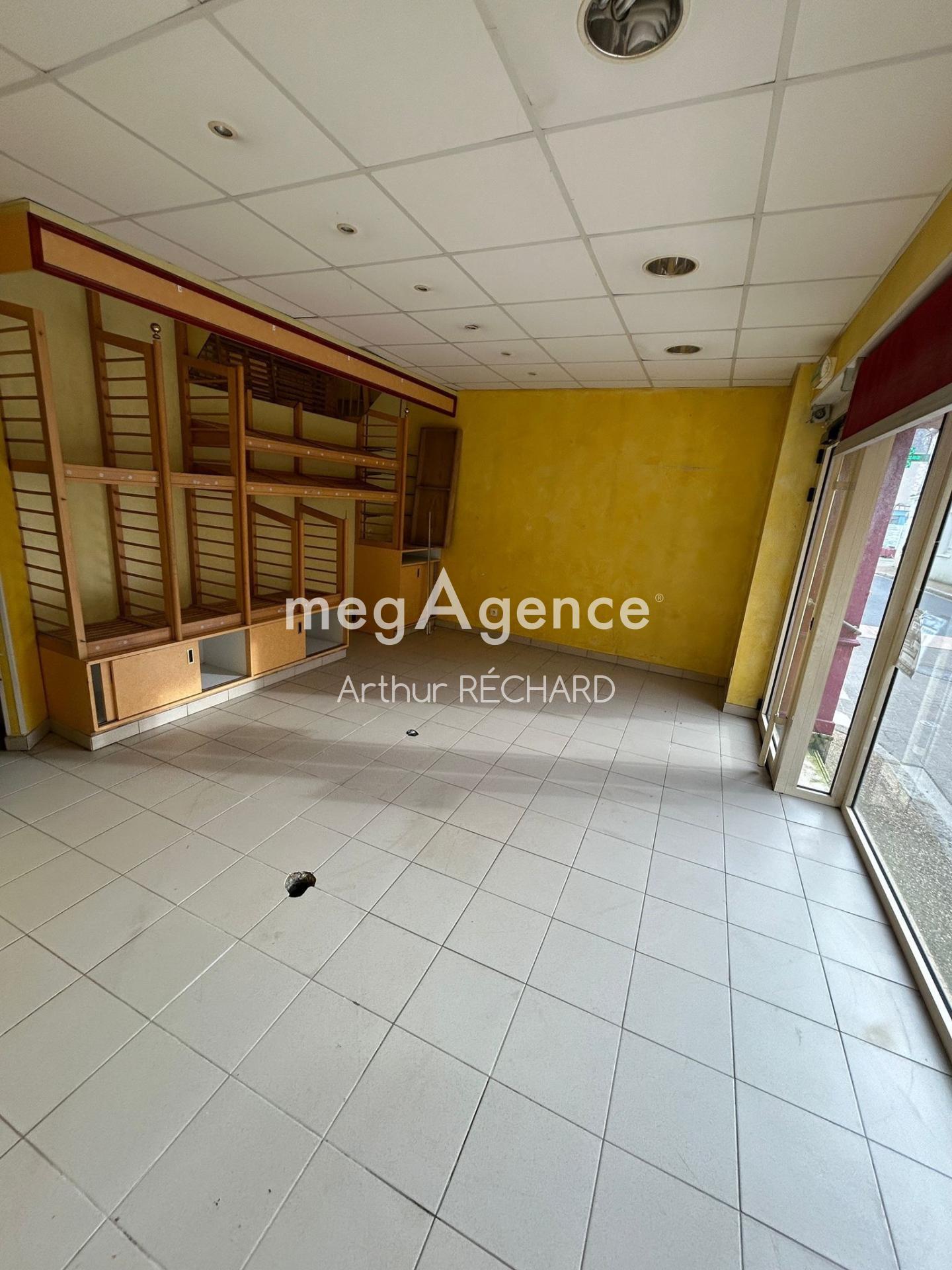 Miniature photo - 8 / 11