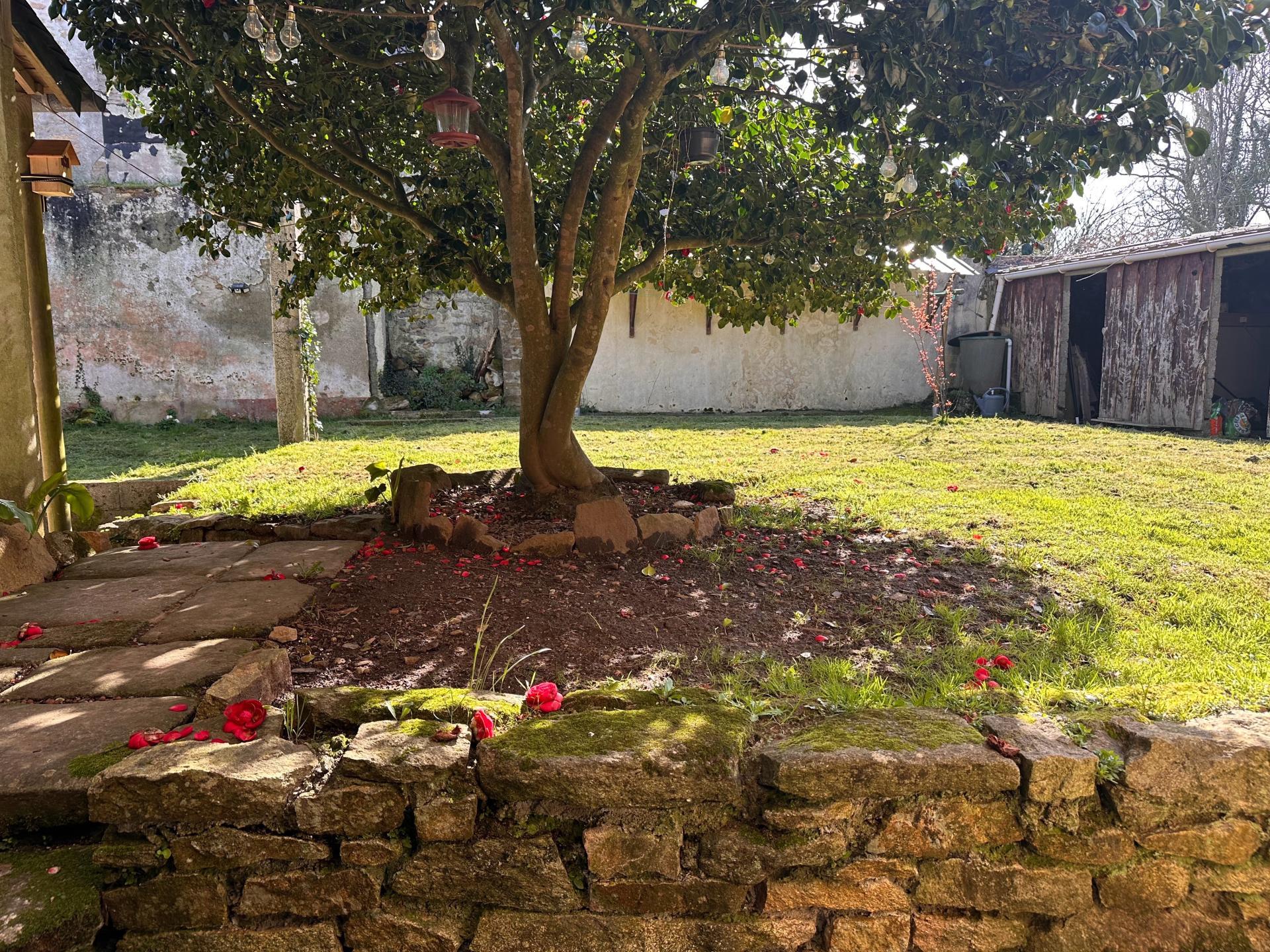 Miniature photo - 10 / 11