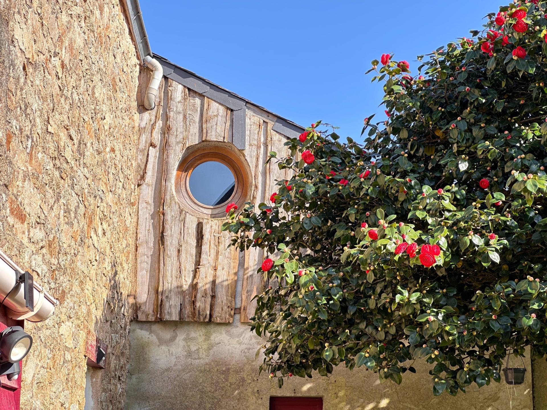 Miniature photo - 9 / 11