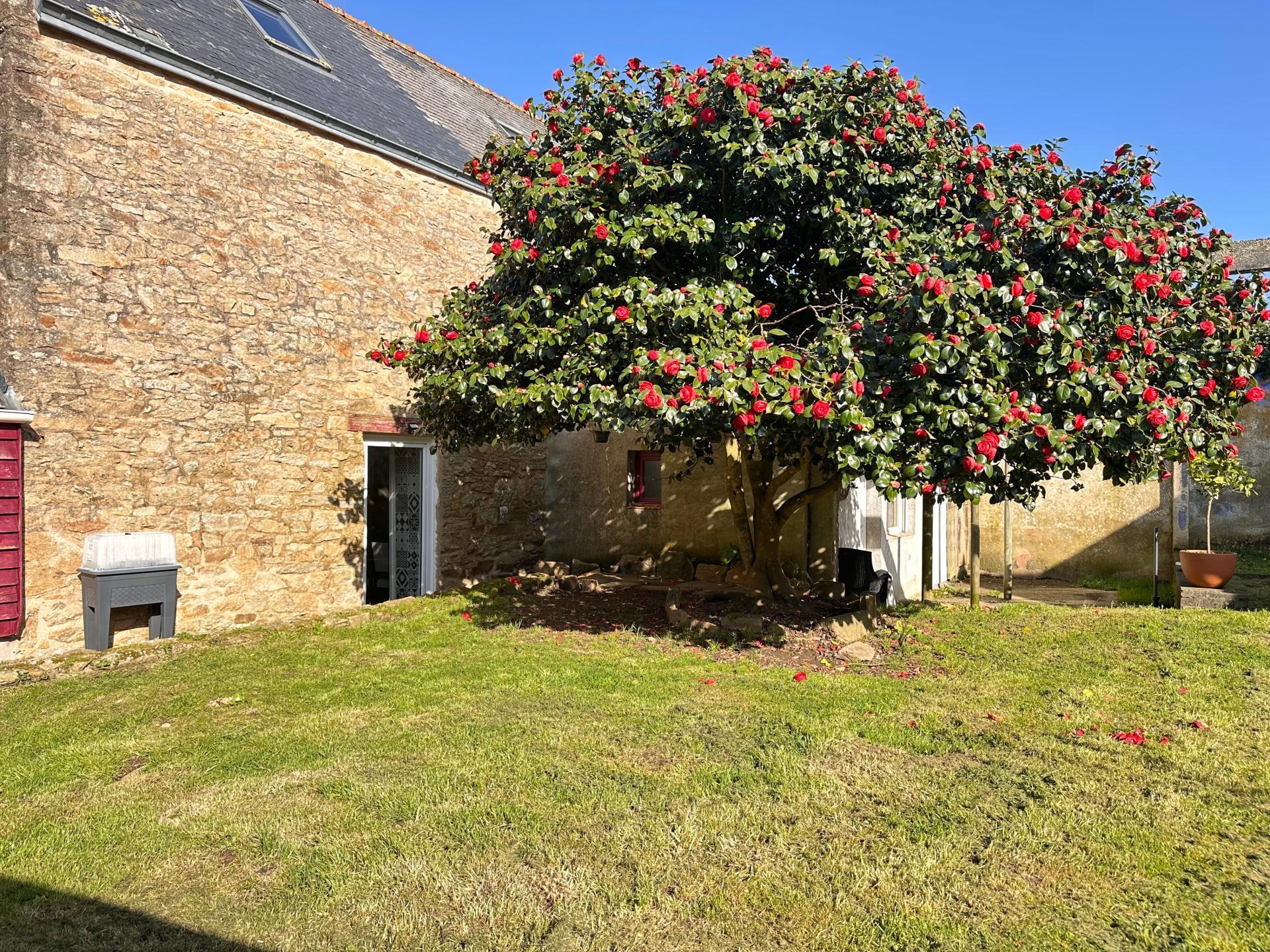 Miniature photo - 11 / 11